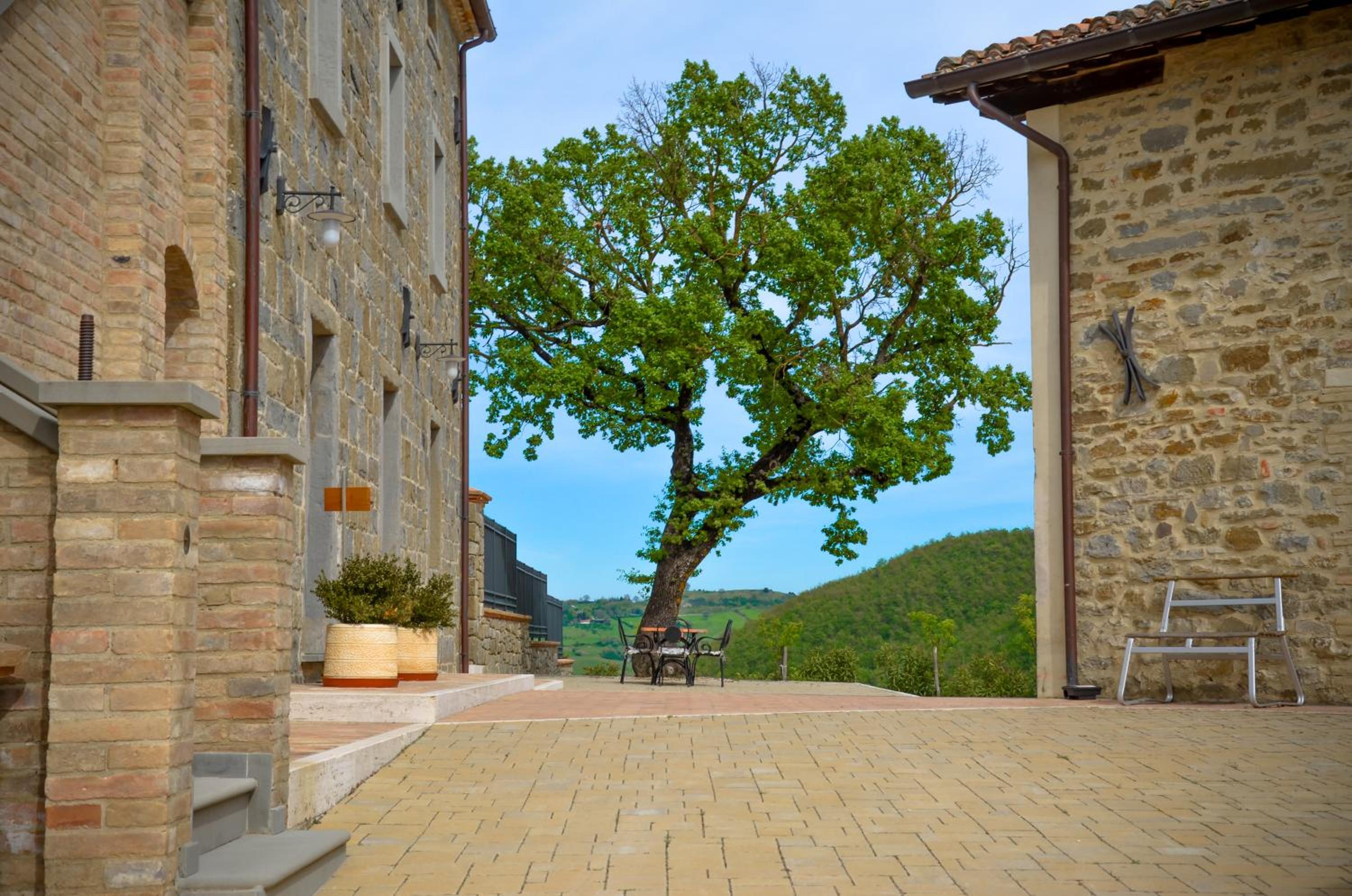 Tenuta Borgo Santa Cecilia