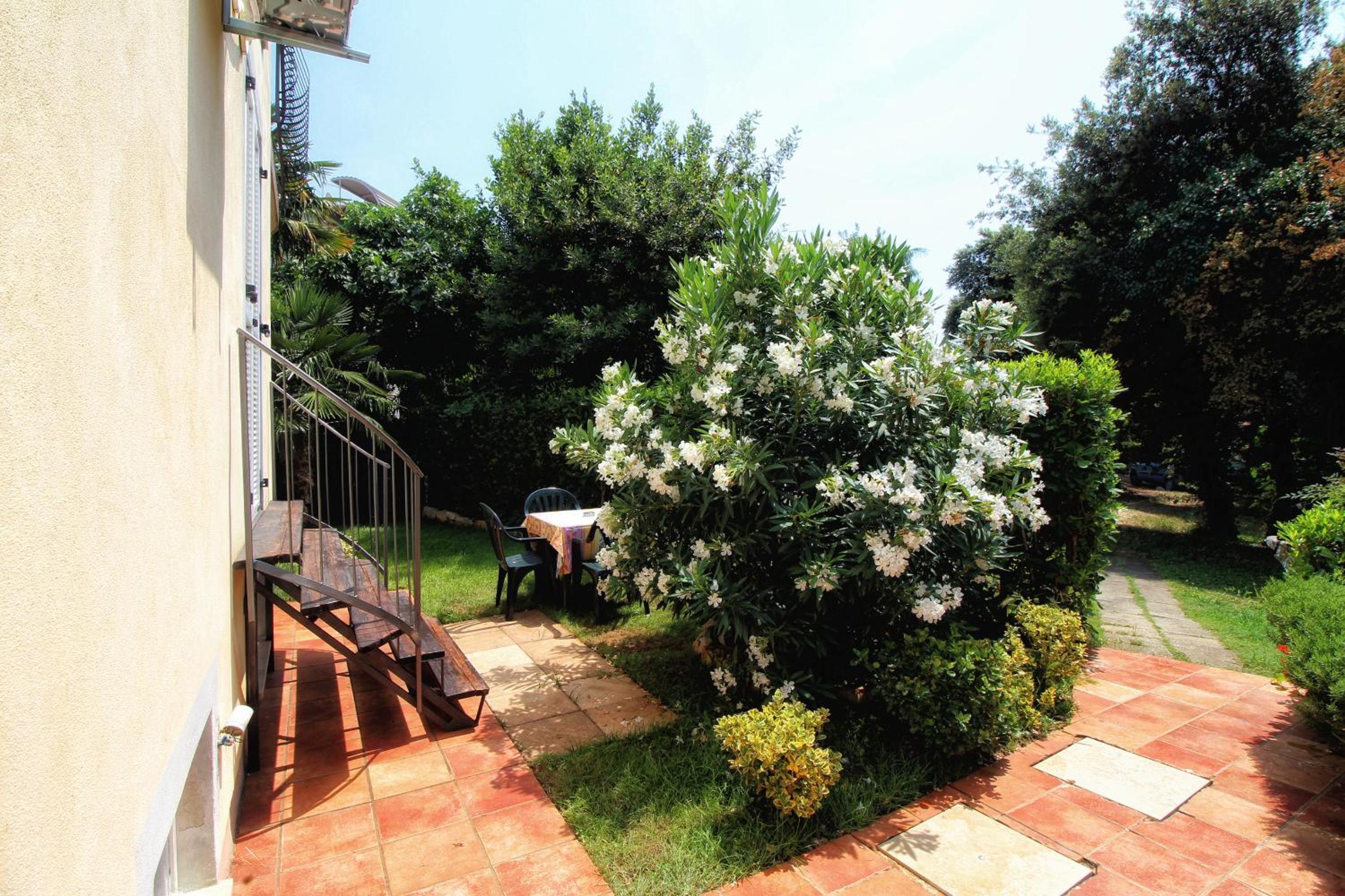Apartments Villa Borik