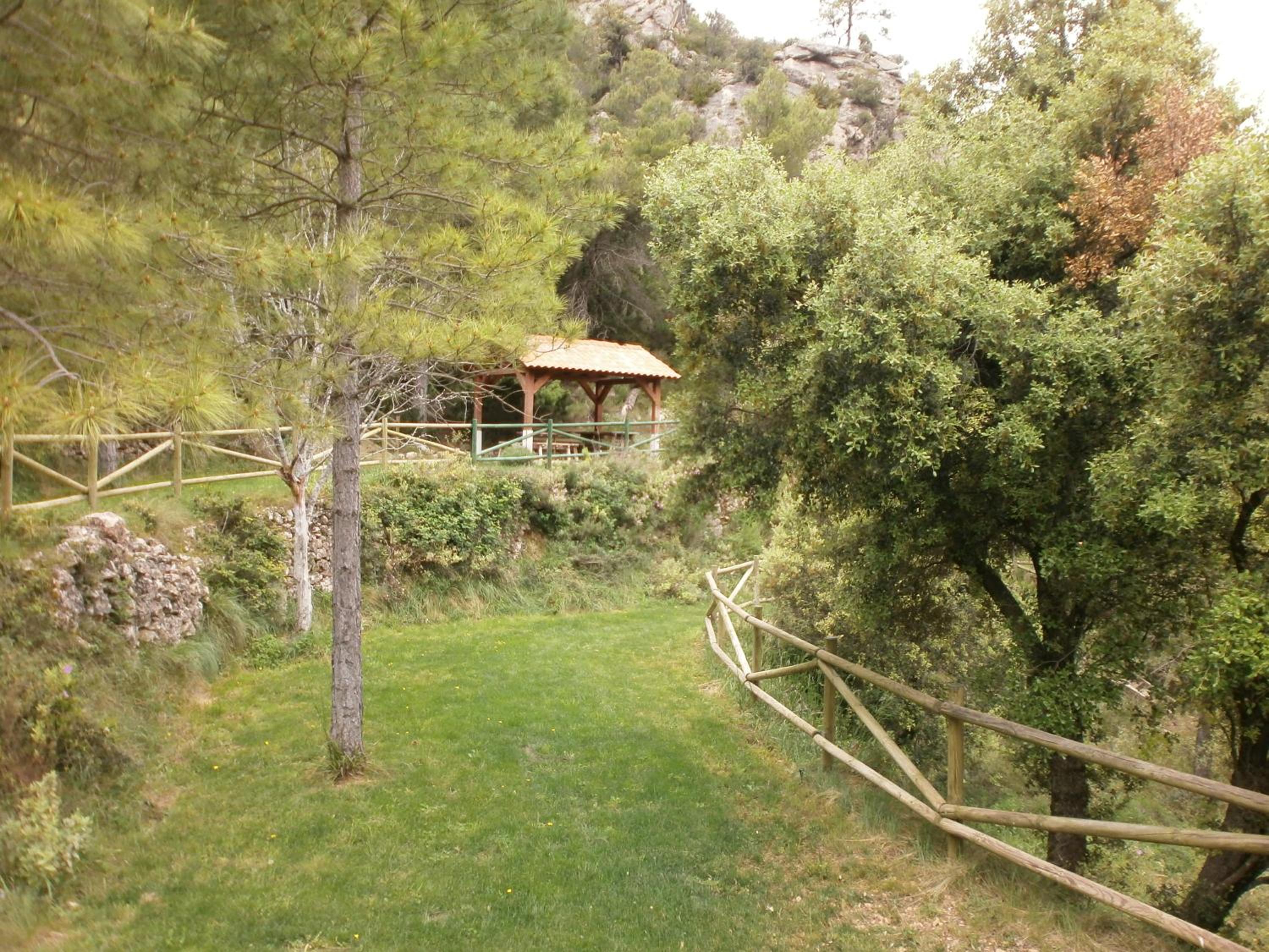 Photo 18