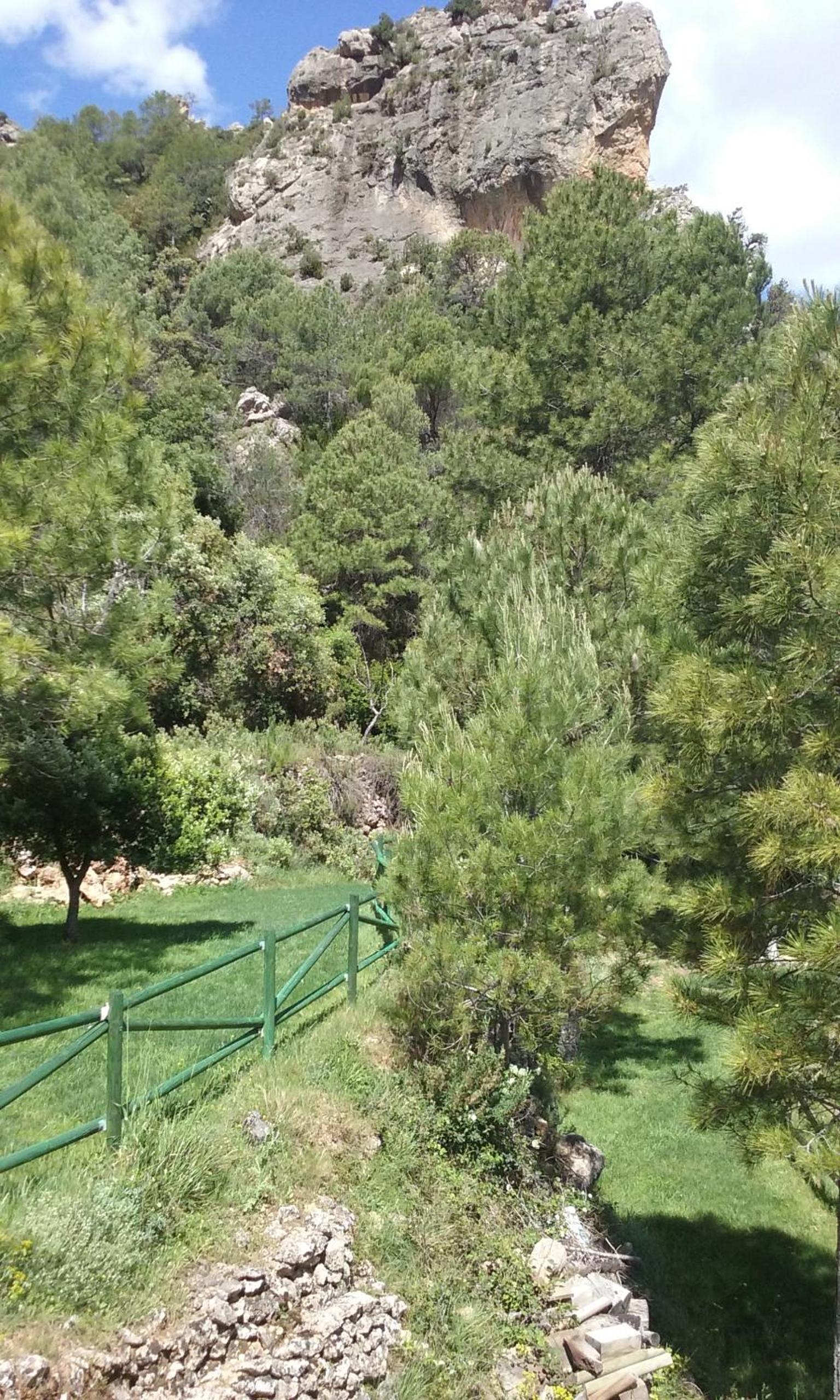Photo 19