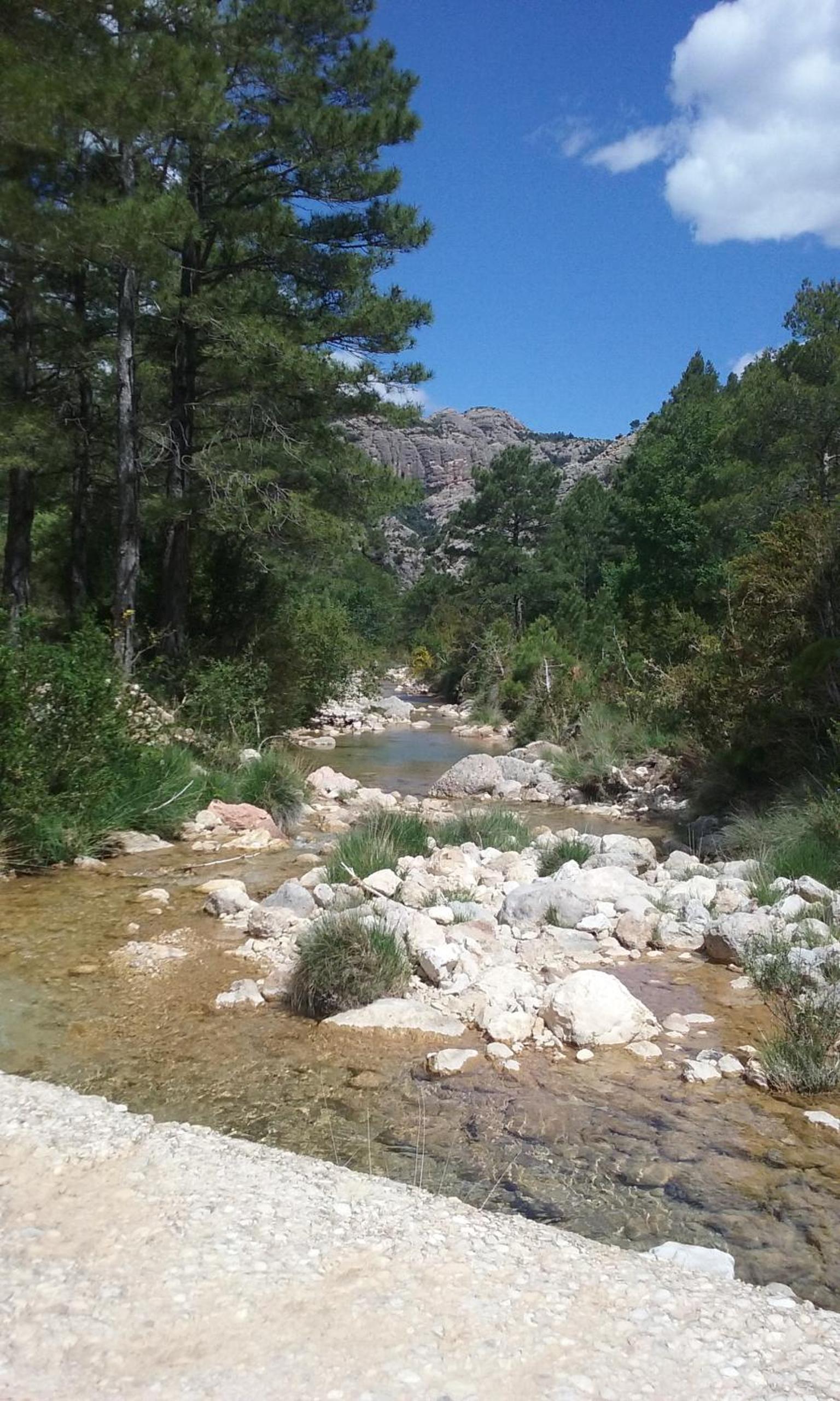 Photo 22