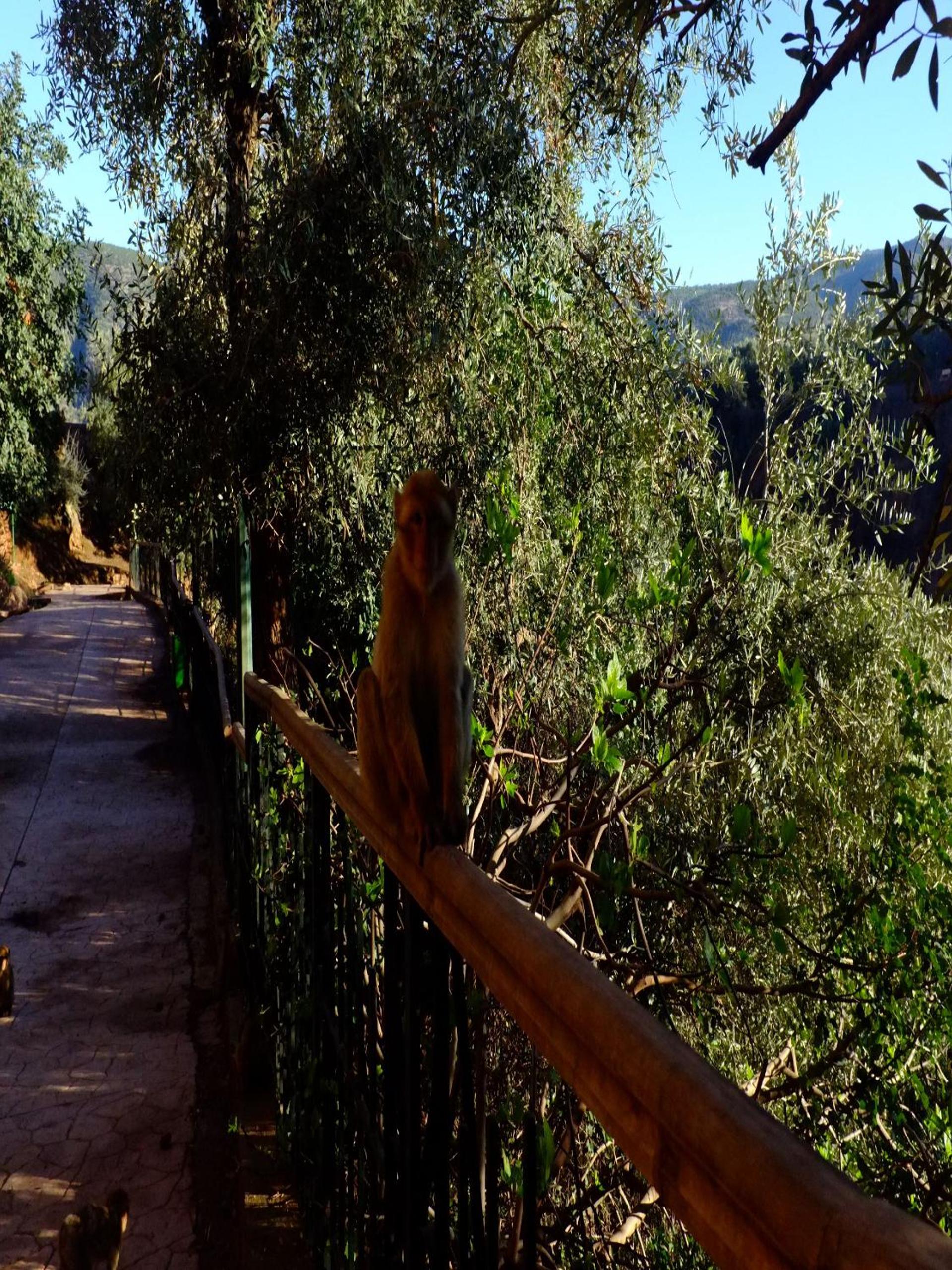Riad Cascades d'Ouzoud