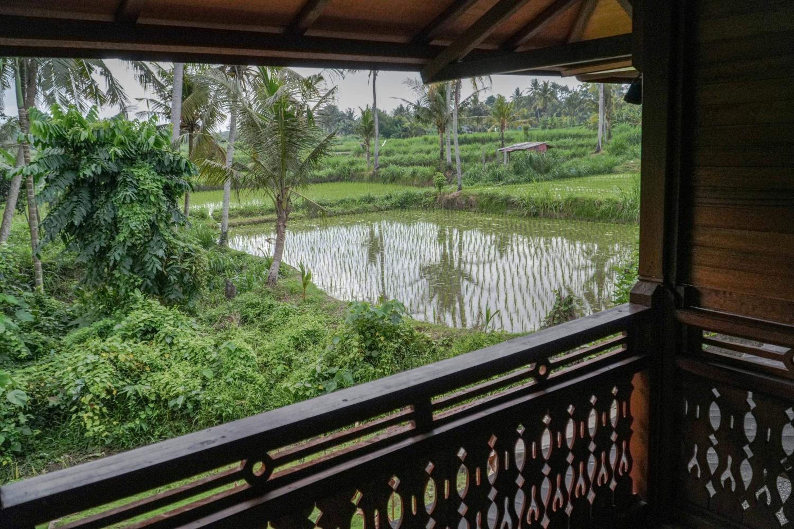 Alam Bulangan Villa