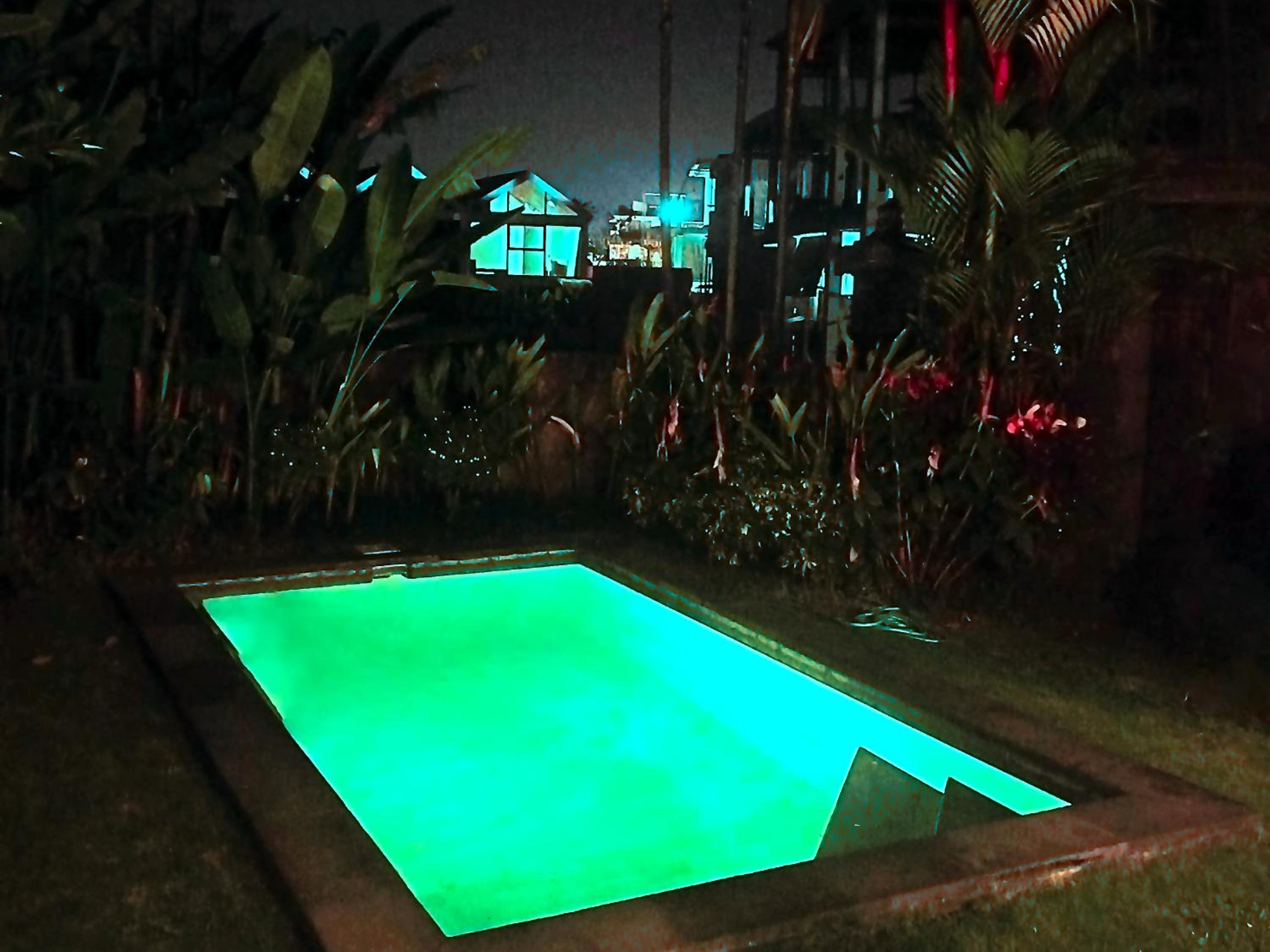 VILLA 2 Bedroom Spacious Outdoor Private Tropical Lush Garden & Pool in Canggu Bali Calm Area