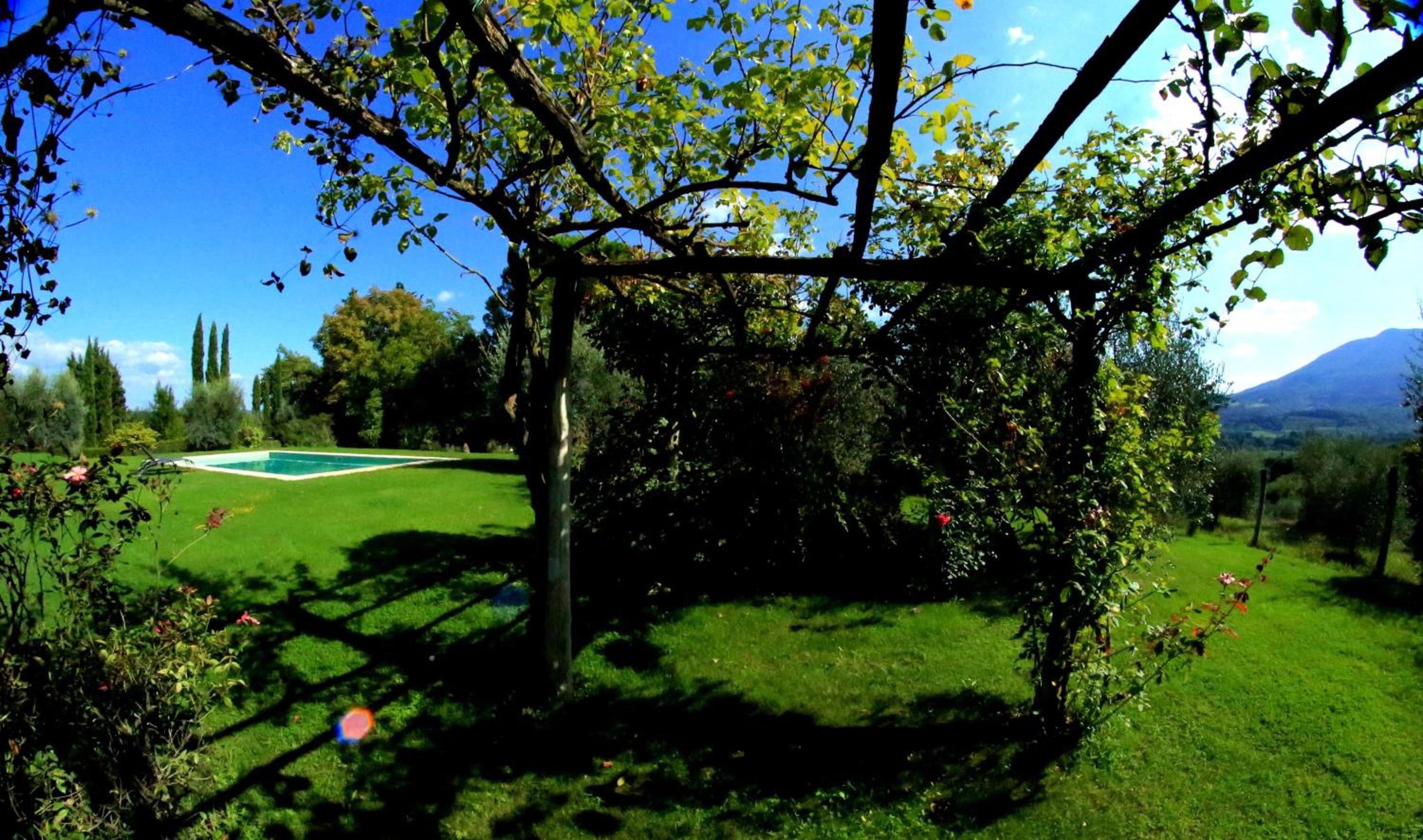 Photo 40