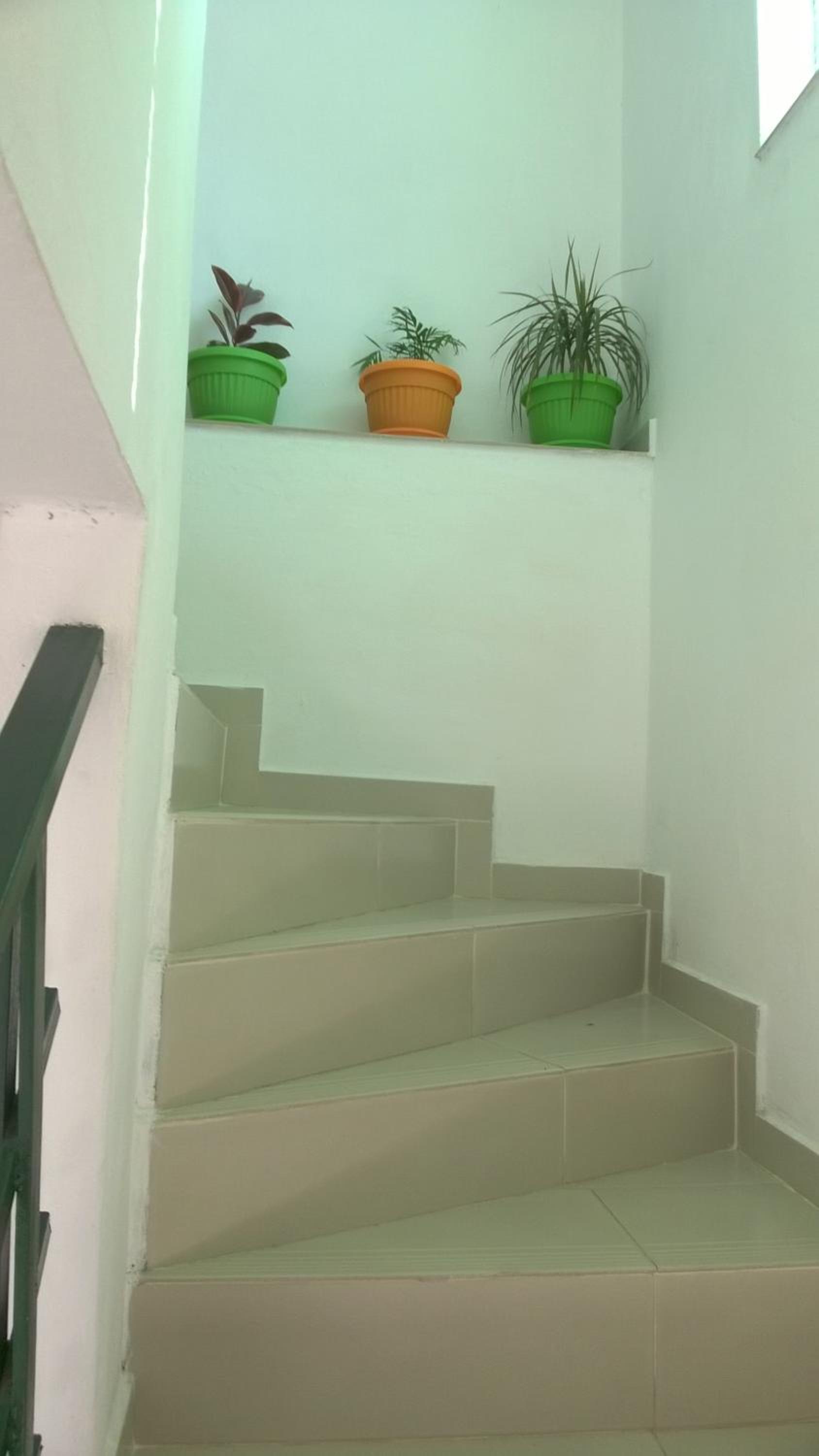 Summer SZ Guest House