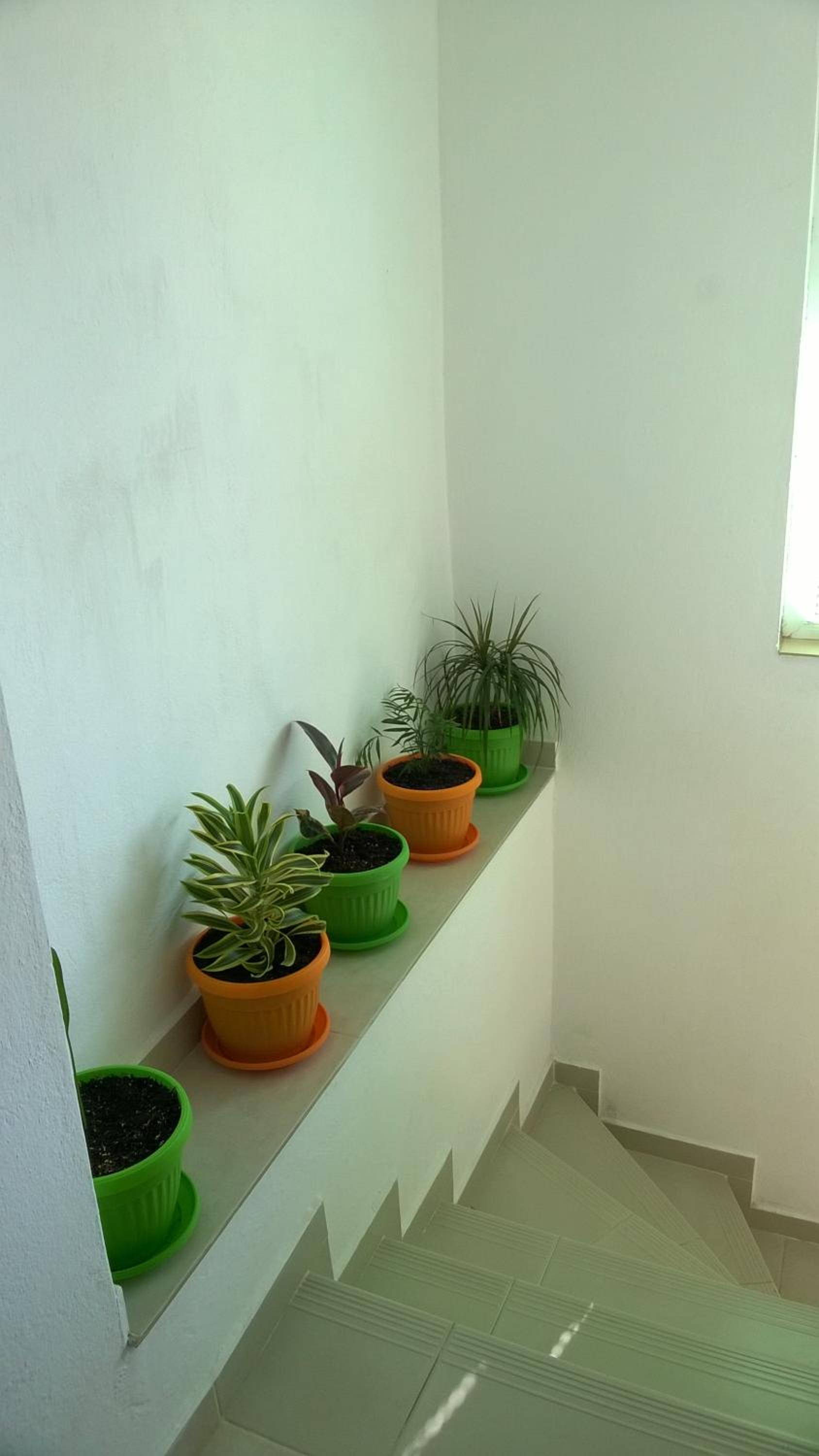 Summer SZ Guest House