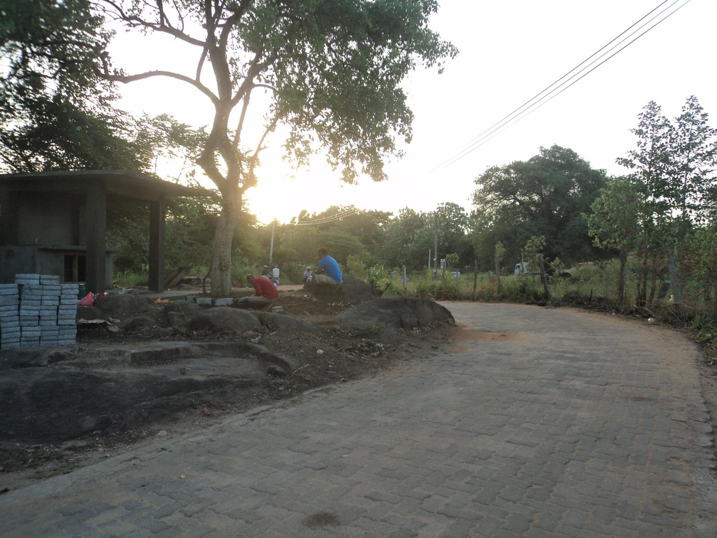 Photo 51