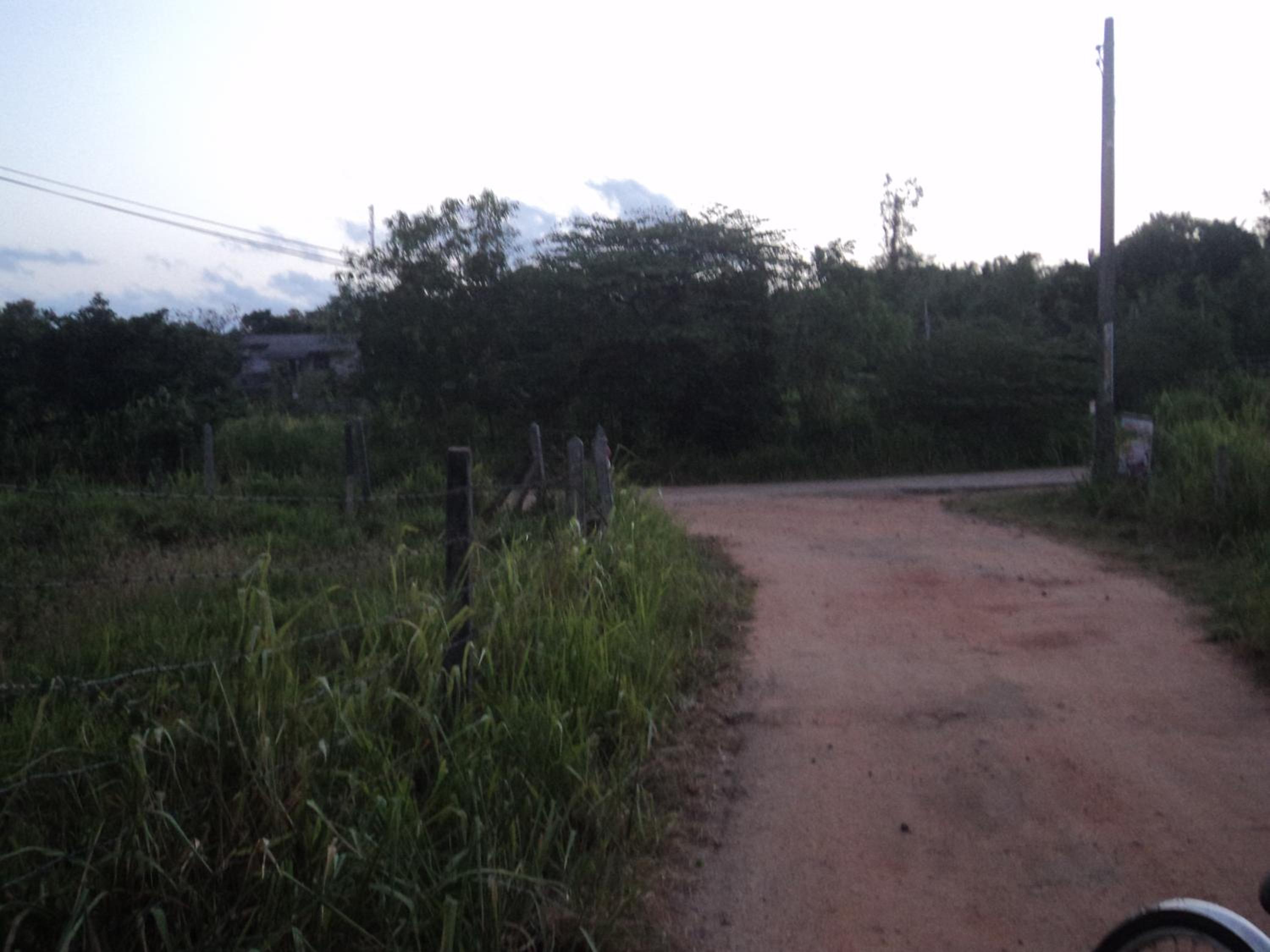 Photo 54