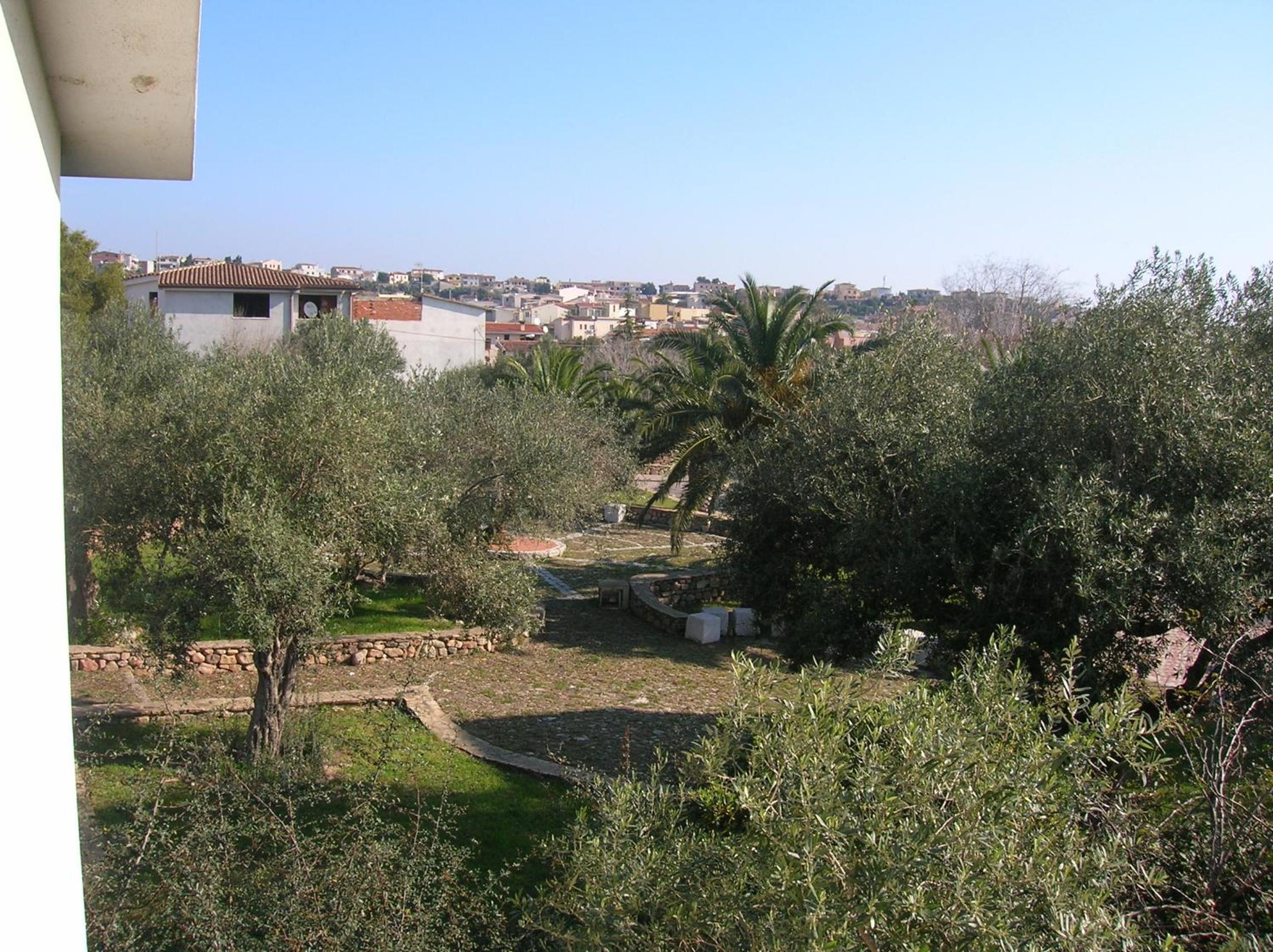 Photo 46