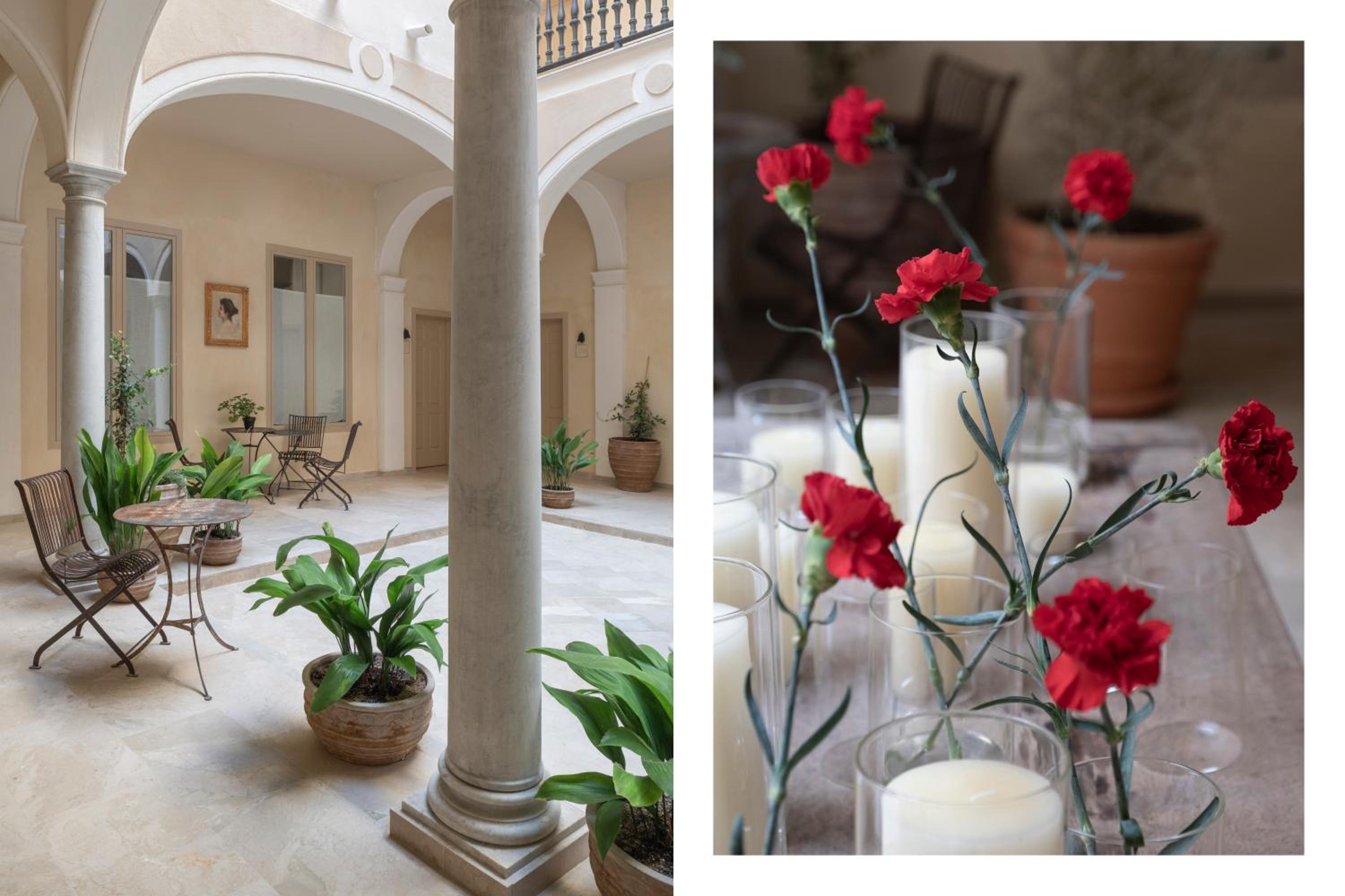 Raíces Alameda Casa Palacio