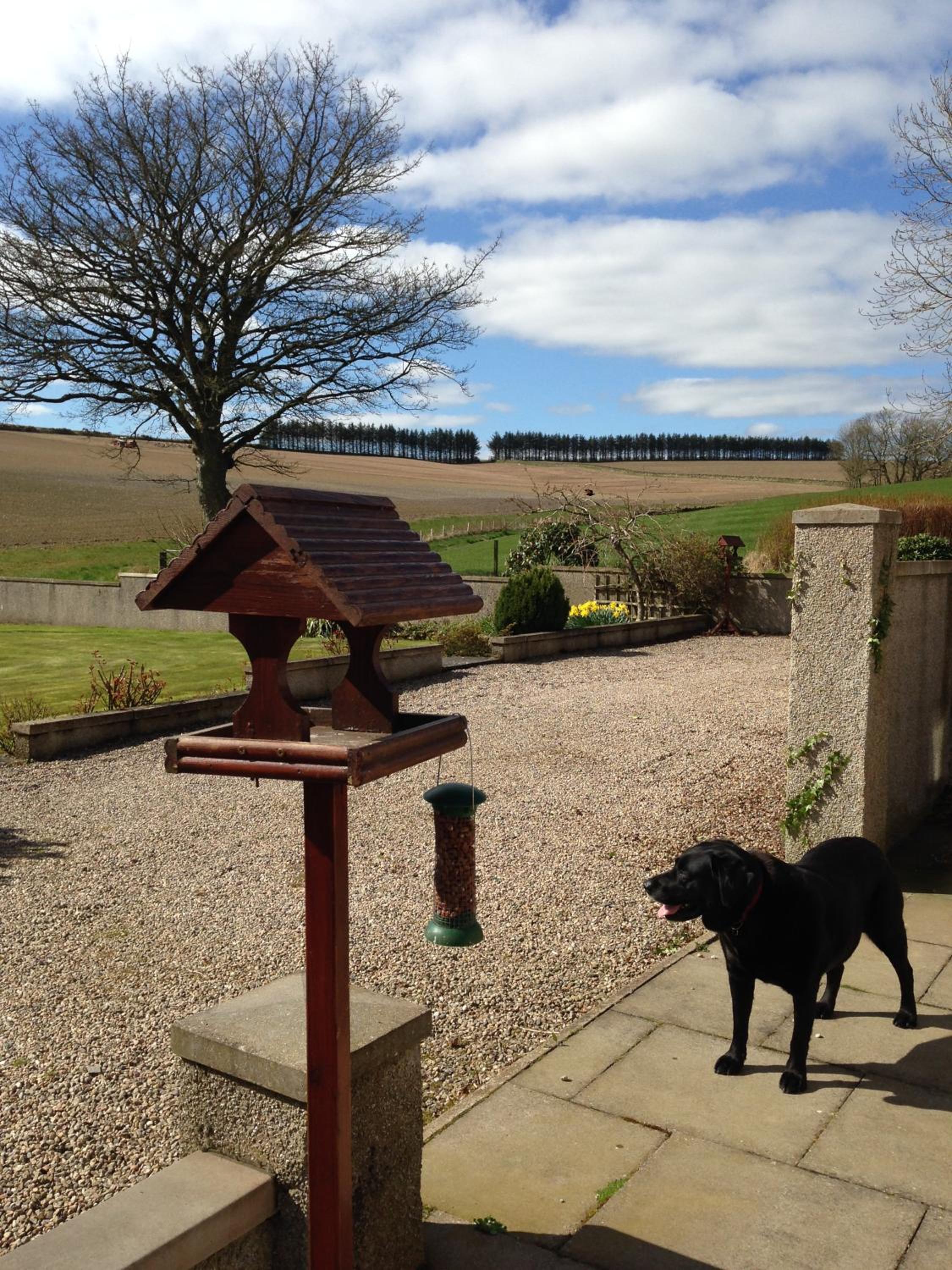 Eastwood Cottage view 2