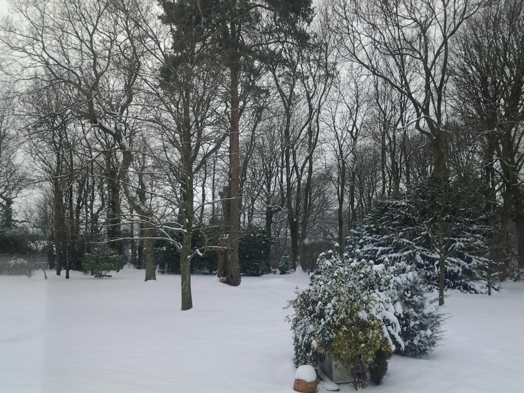 Photo 12