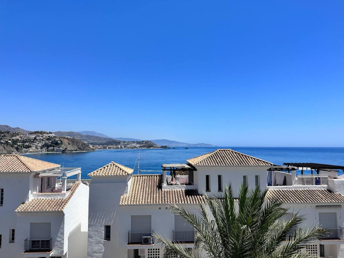 Albatros Marina