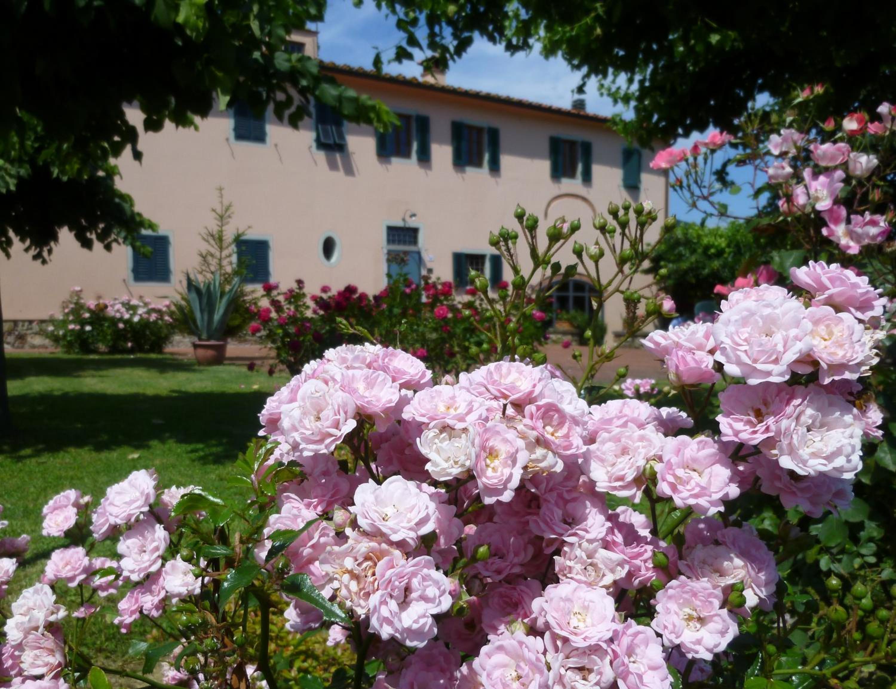 Agriturismo La Torricella