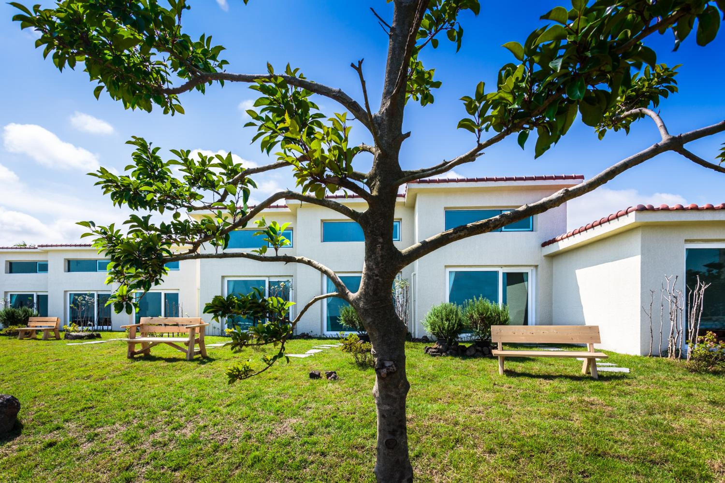 Jeju Turning point Pension