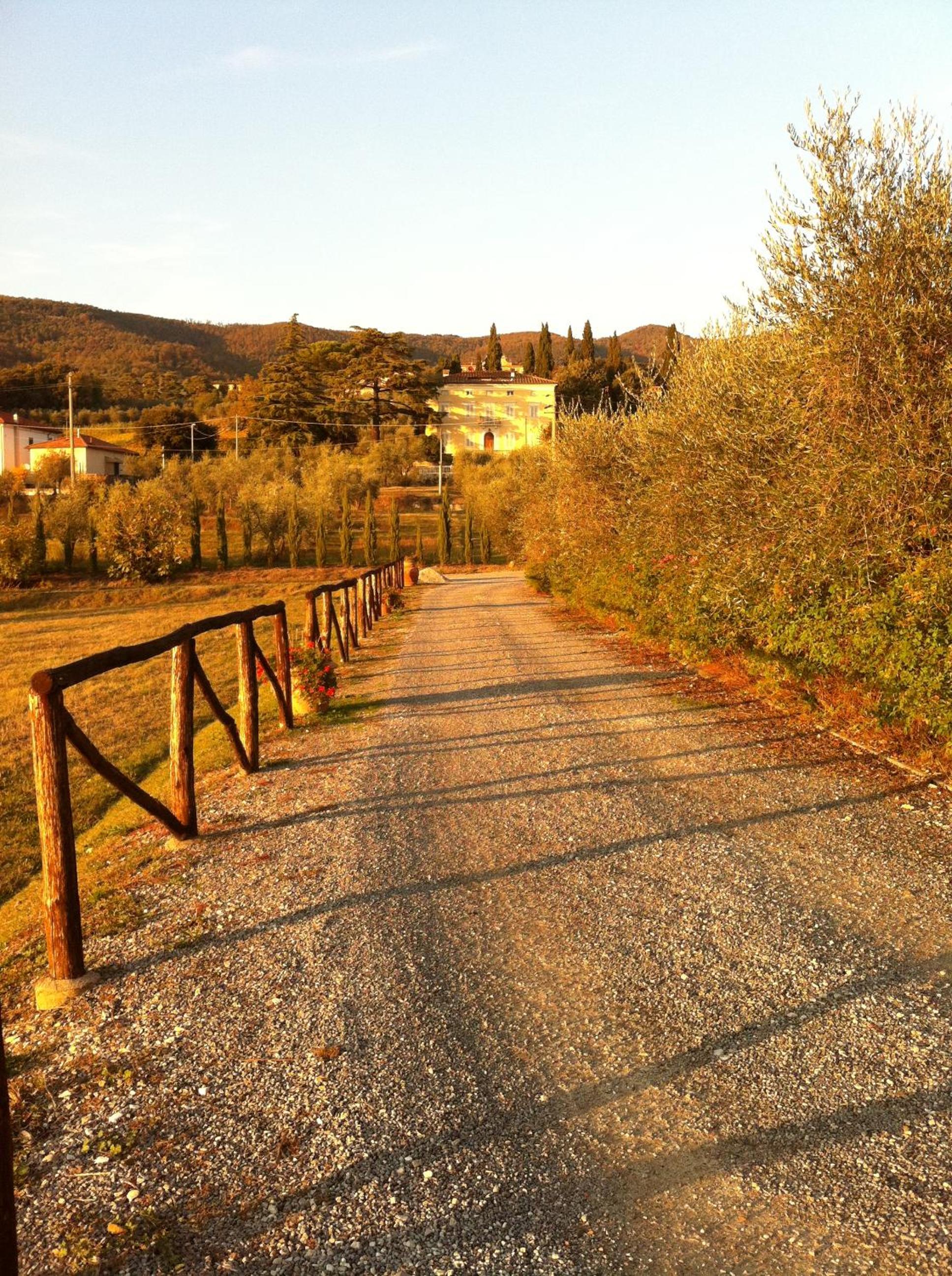 Agriturismo La Torricella