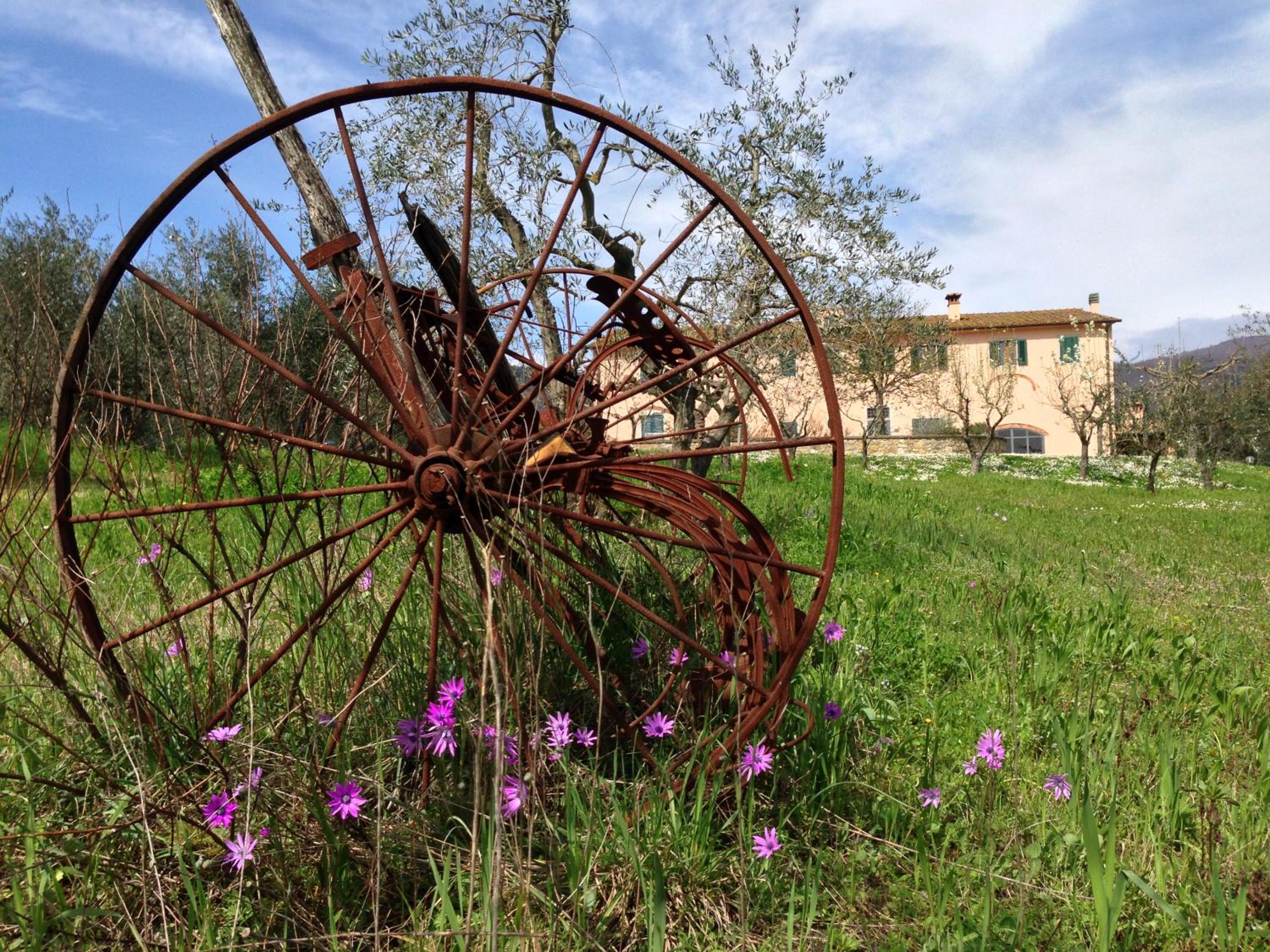 Agriturismo La Torricella