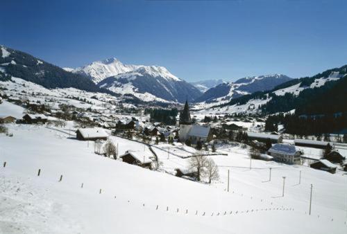 Hotel Saanerhof