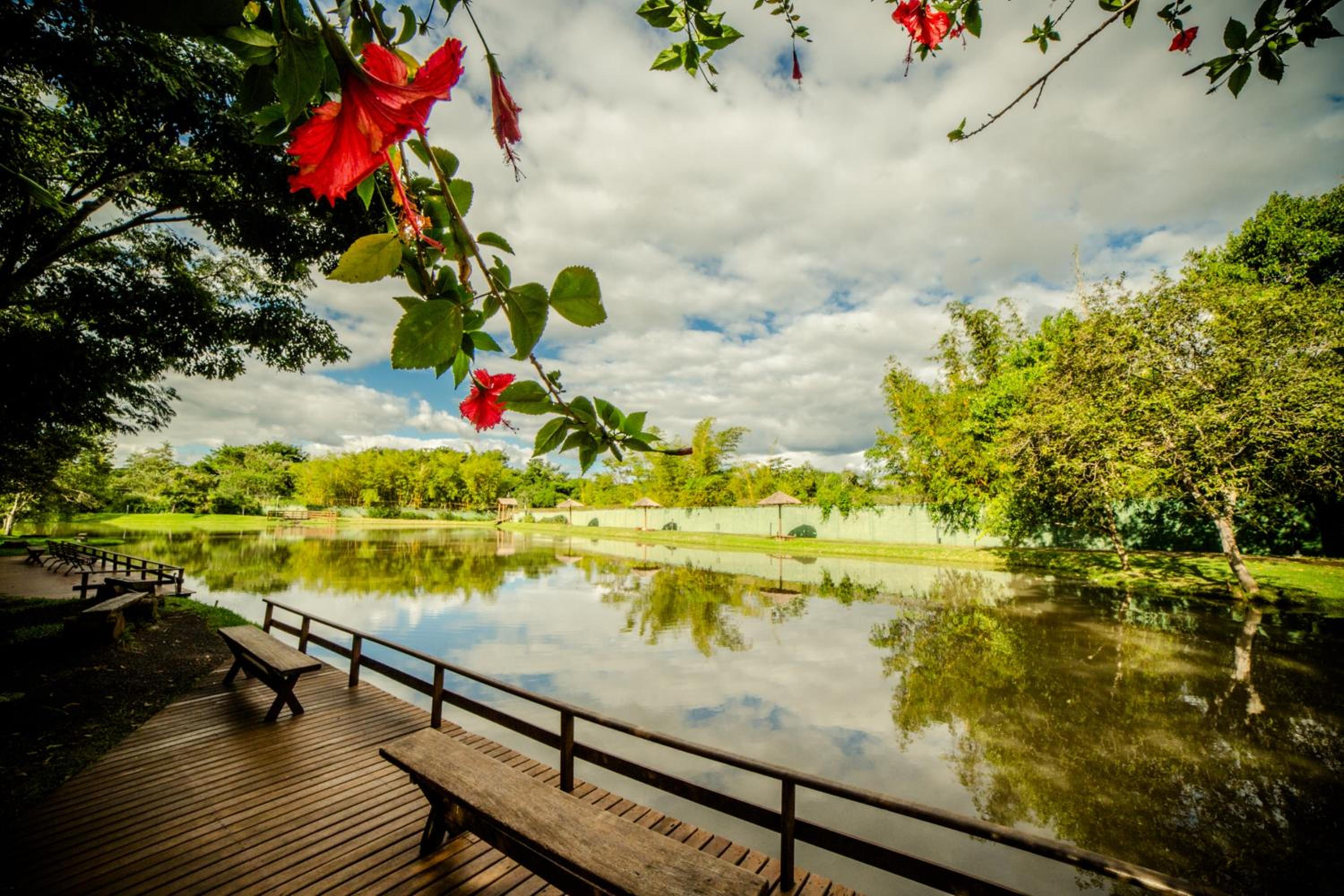 Mabu Thermas Grand Resort photo 41 of 51