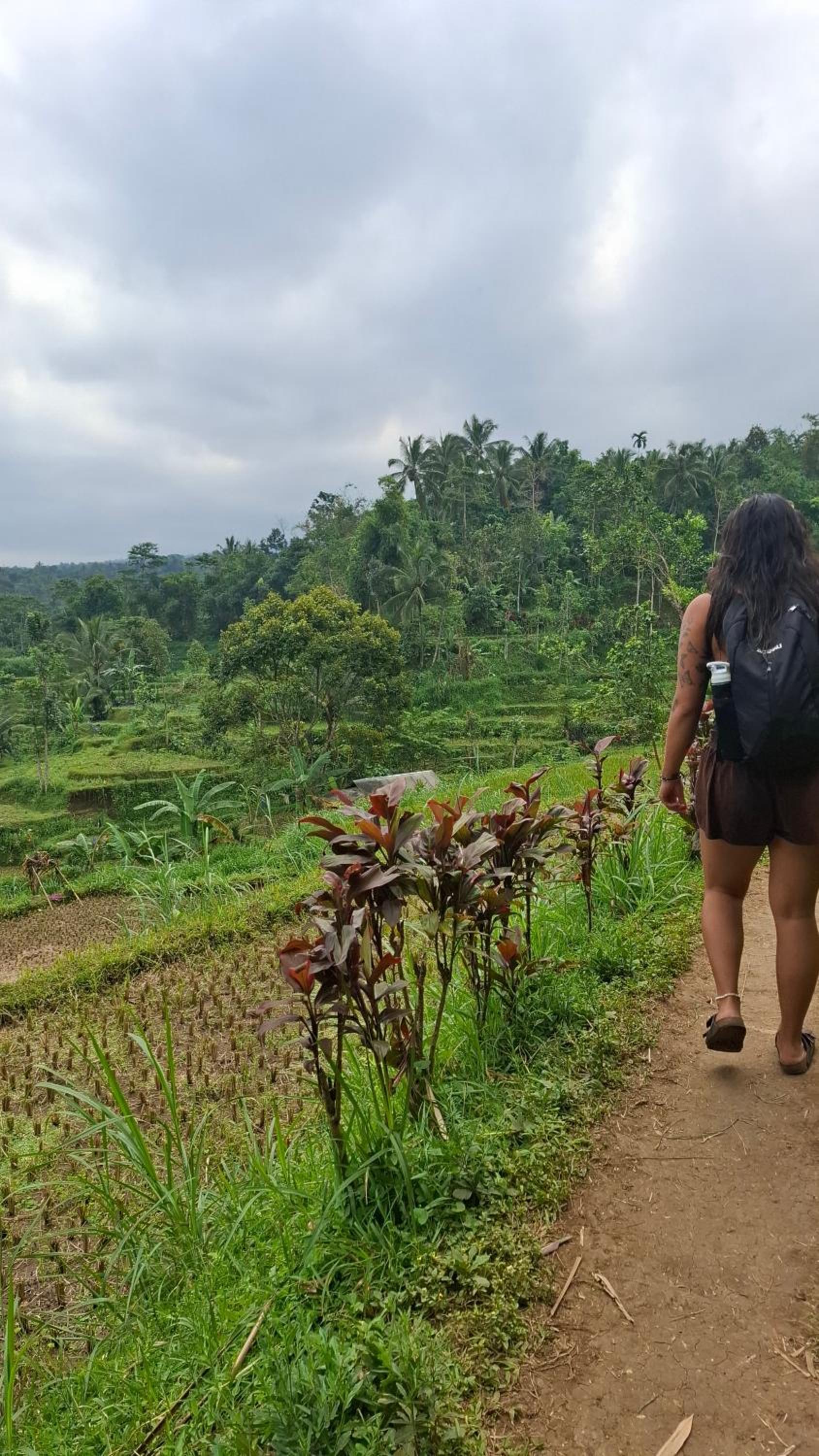 Bamboo Craft Homestay