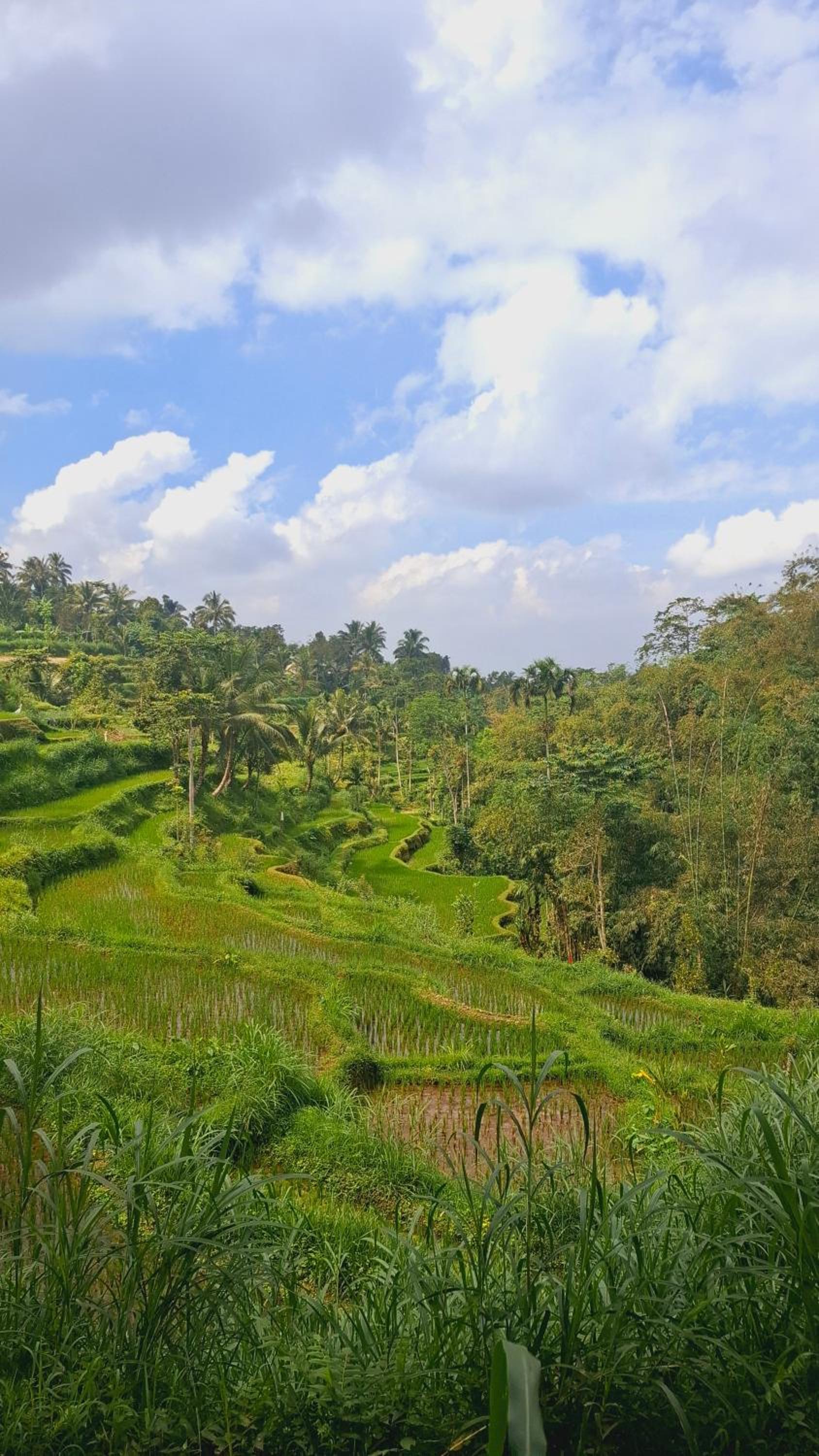 Bamboo Craft Homestay