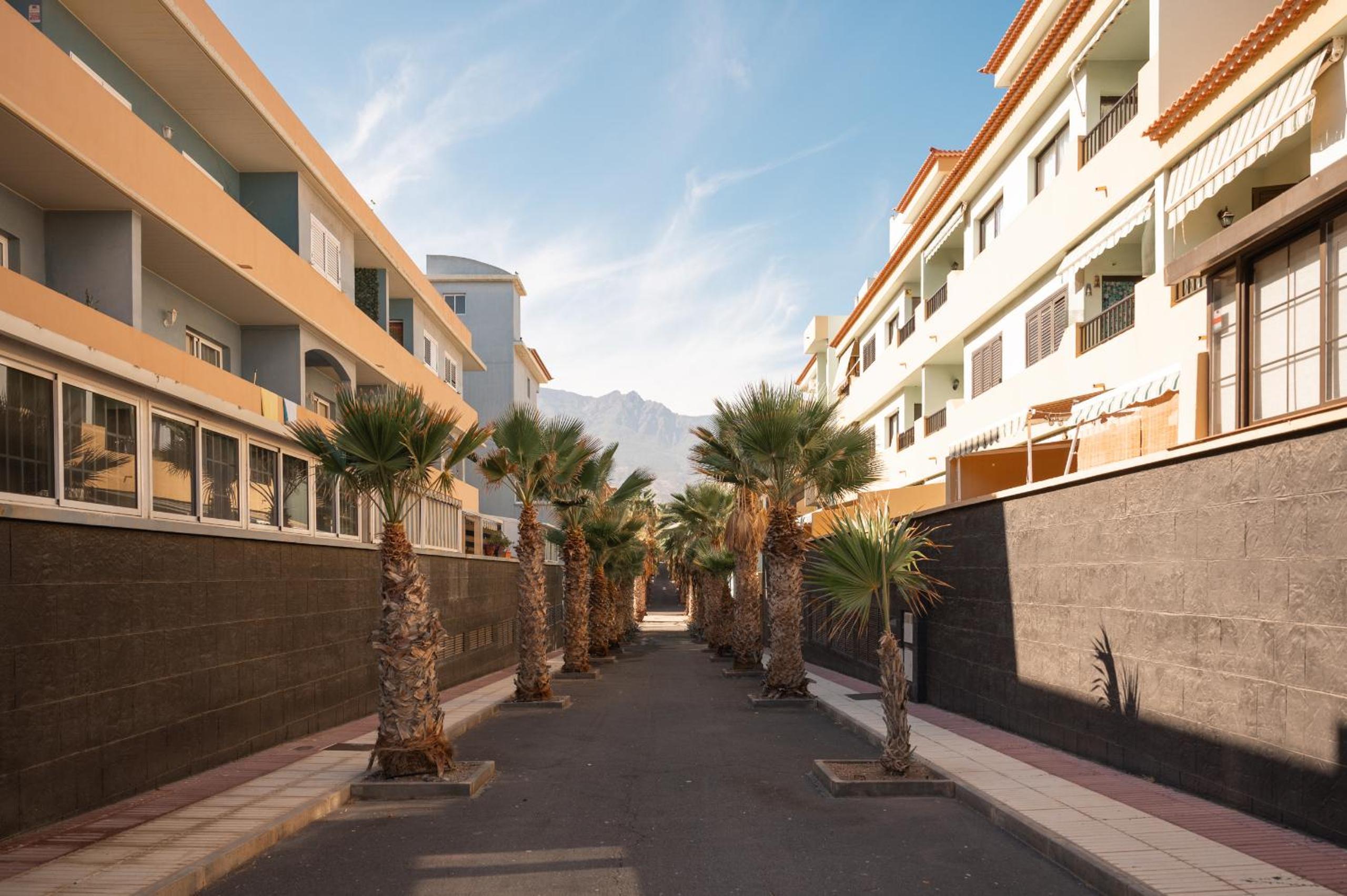 Profithome- Brisas de Güimar