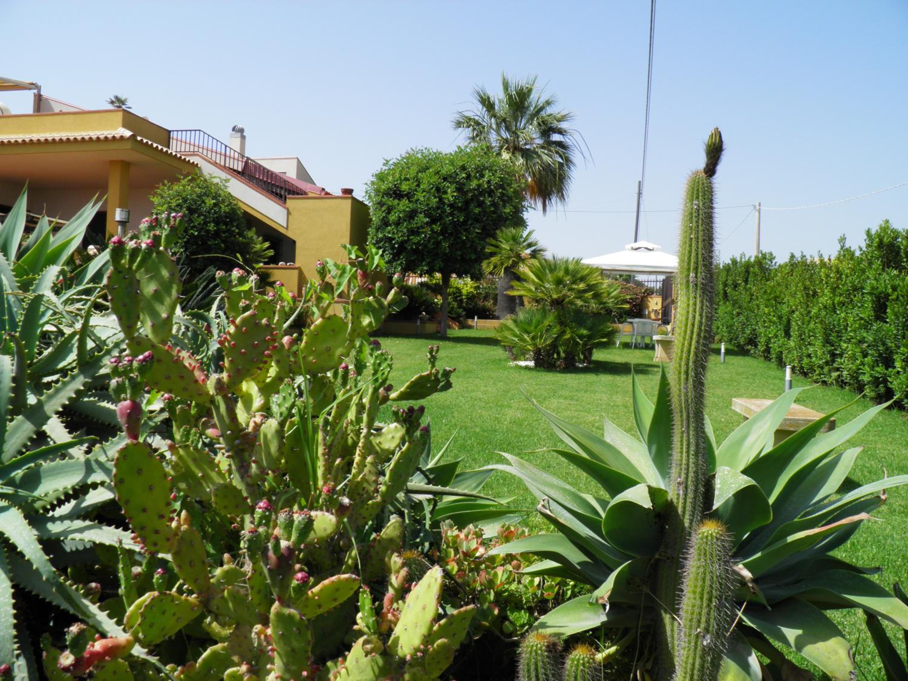 Photo 40