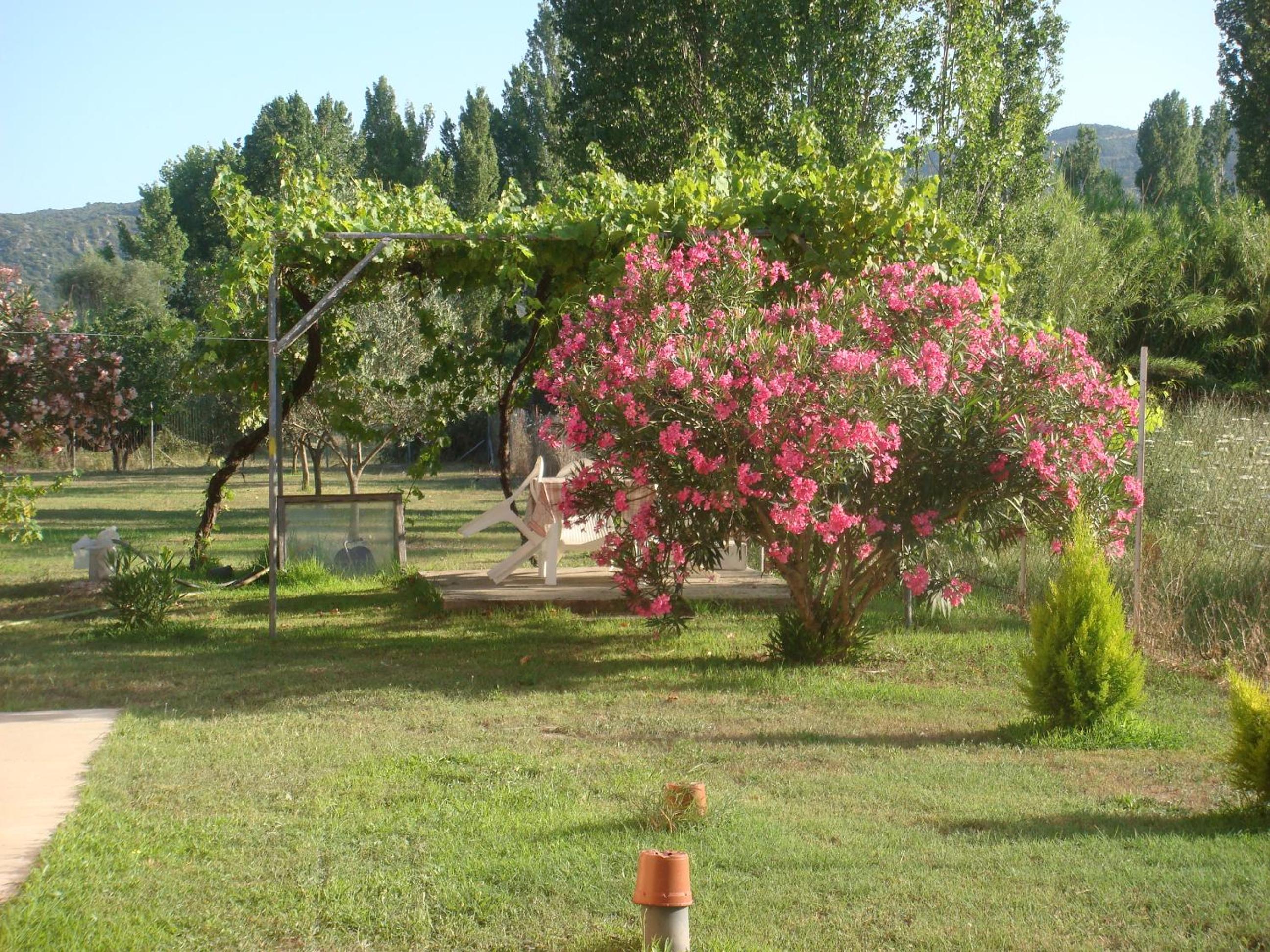 Photo 36