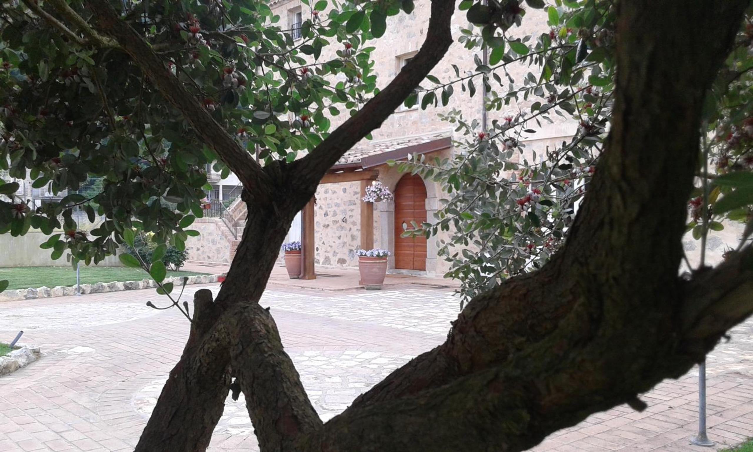 Photo 20