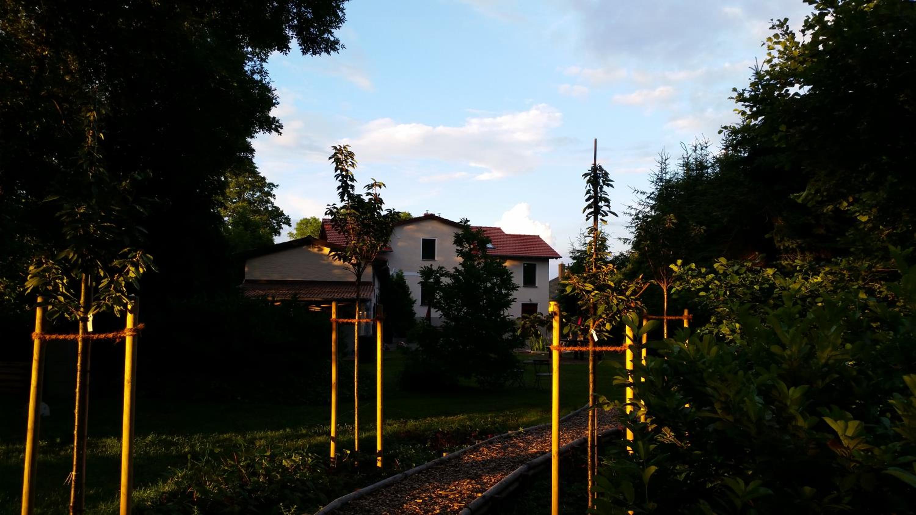 mein.lychen