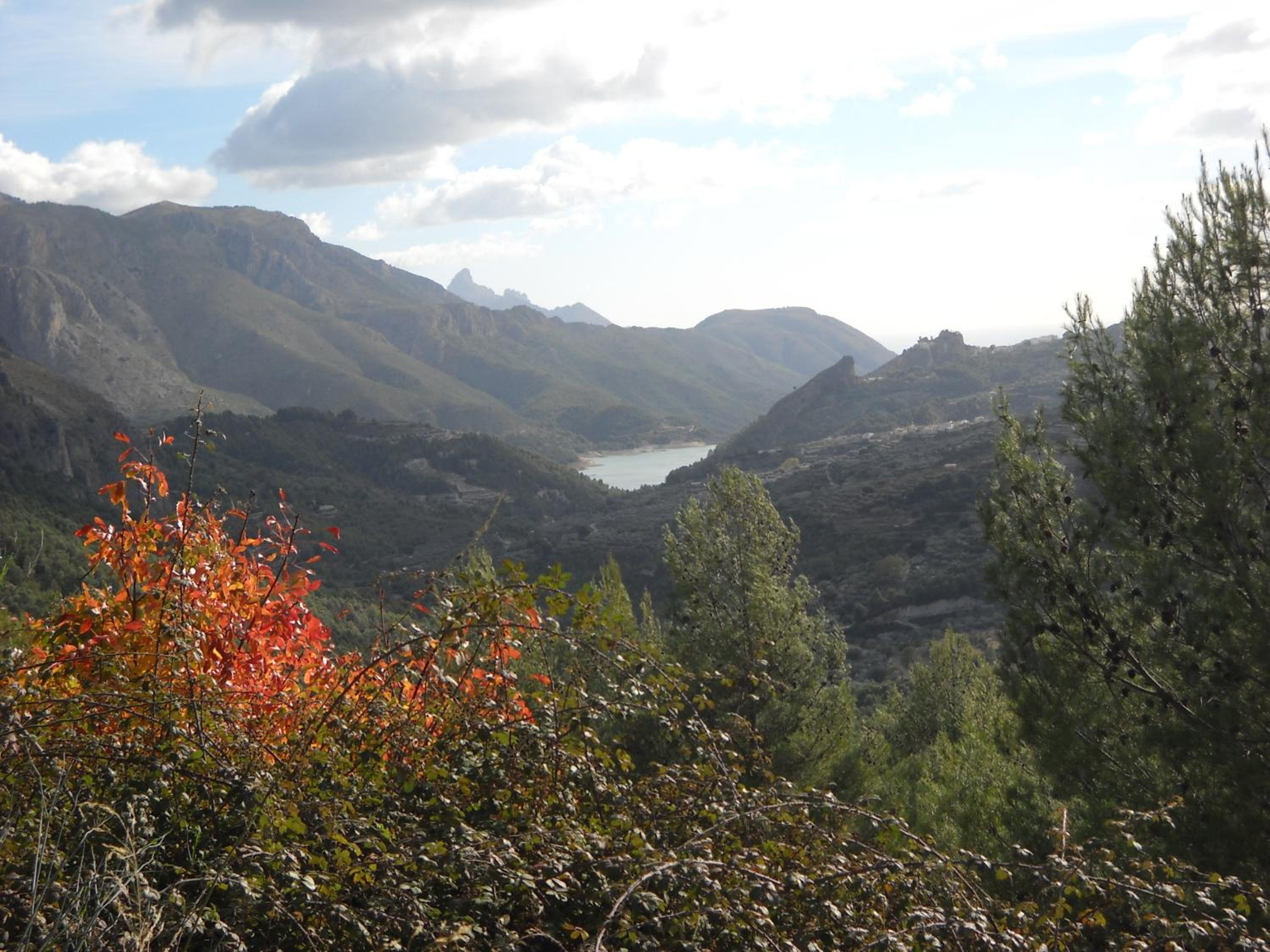 Pensión El Pirineo
