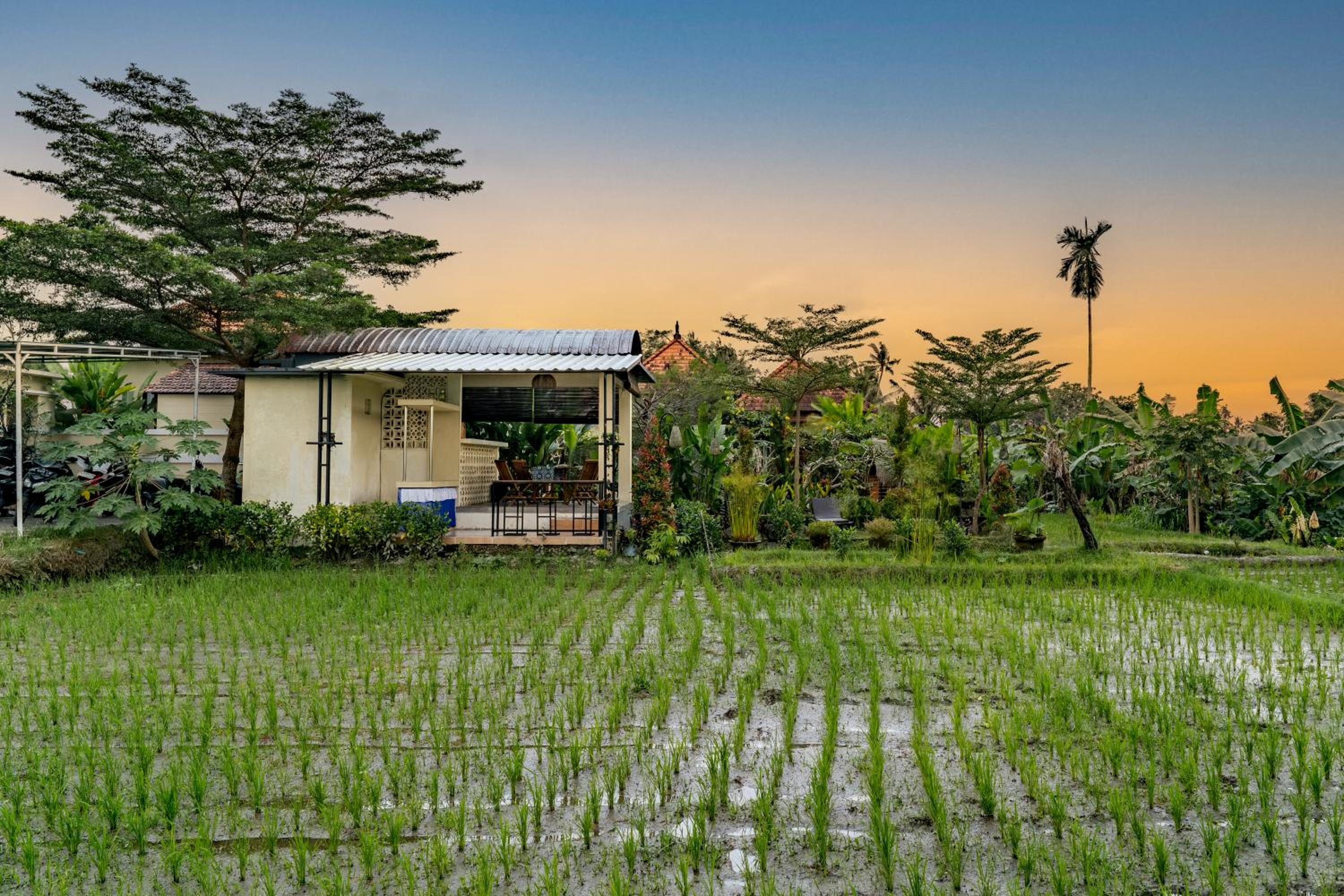 Villa Puri Uma Dewi Ubud