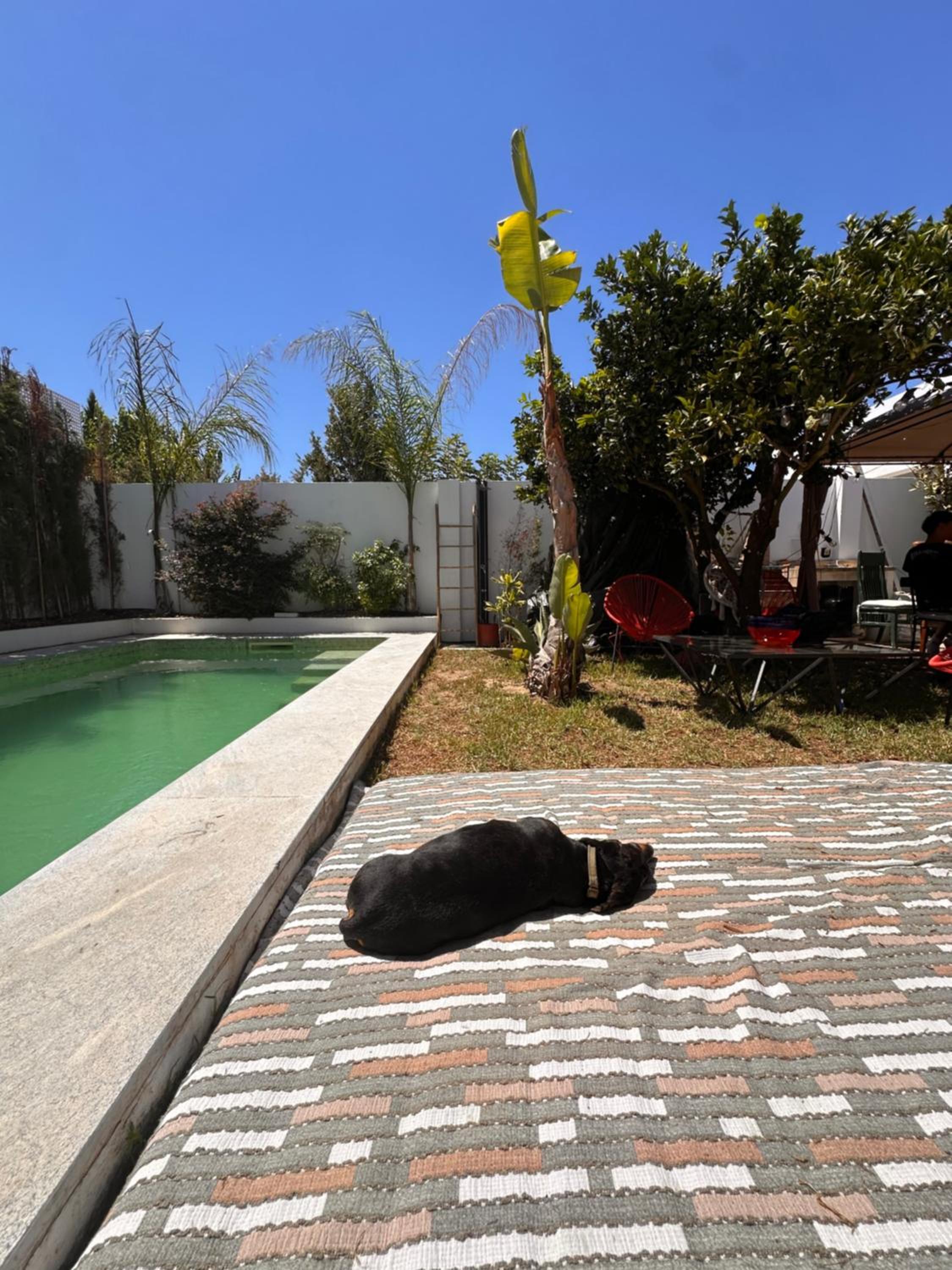 Vila Nogueira De Azeitao - Amaral's Guest Houses