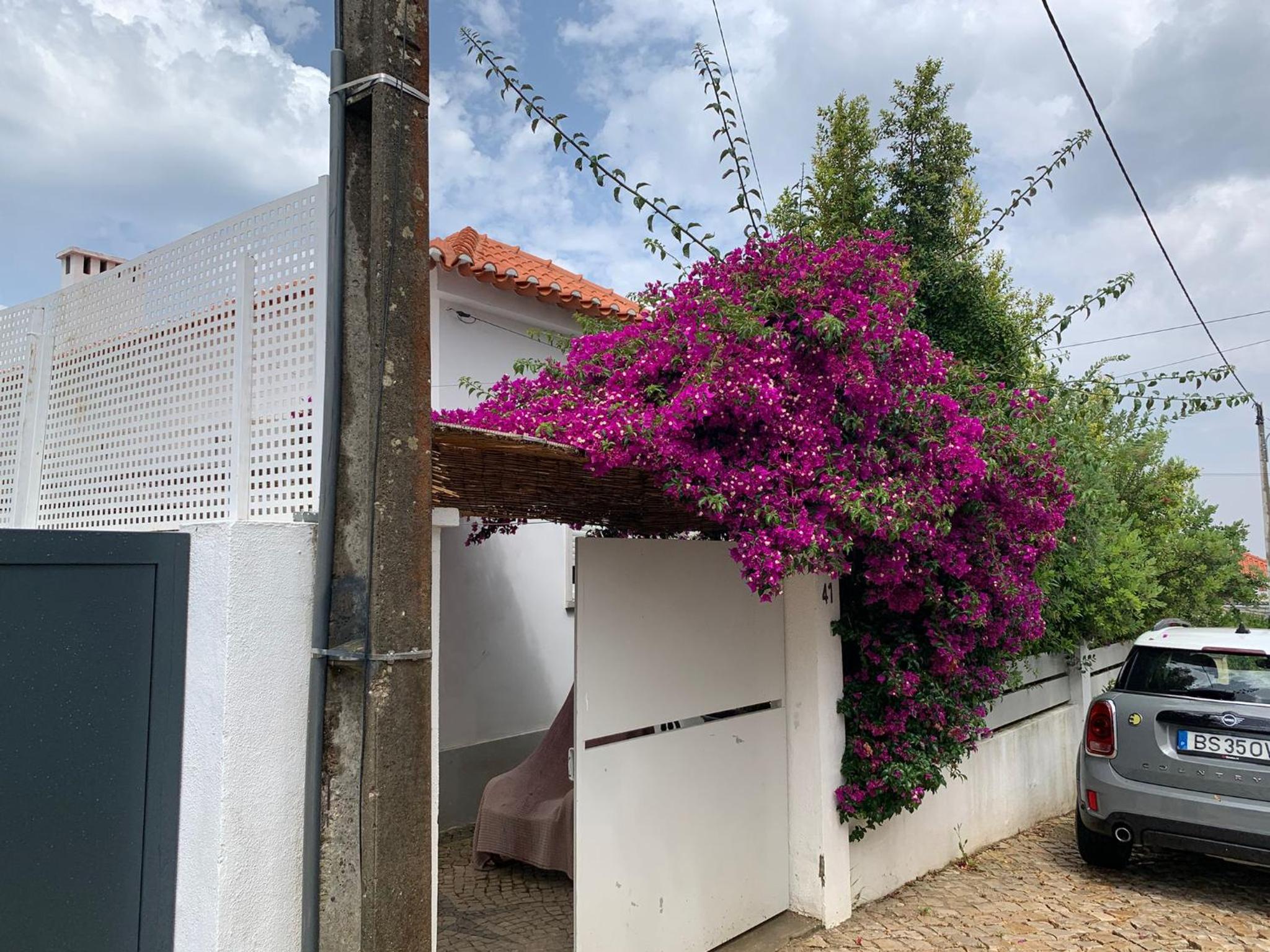 Vila Nogueira De Azeitao - Amaral's Guest Houses