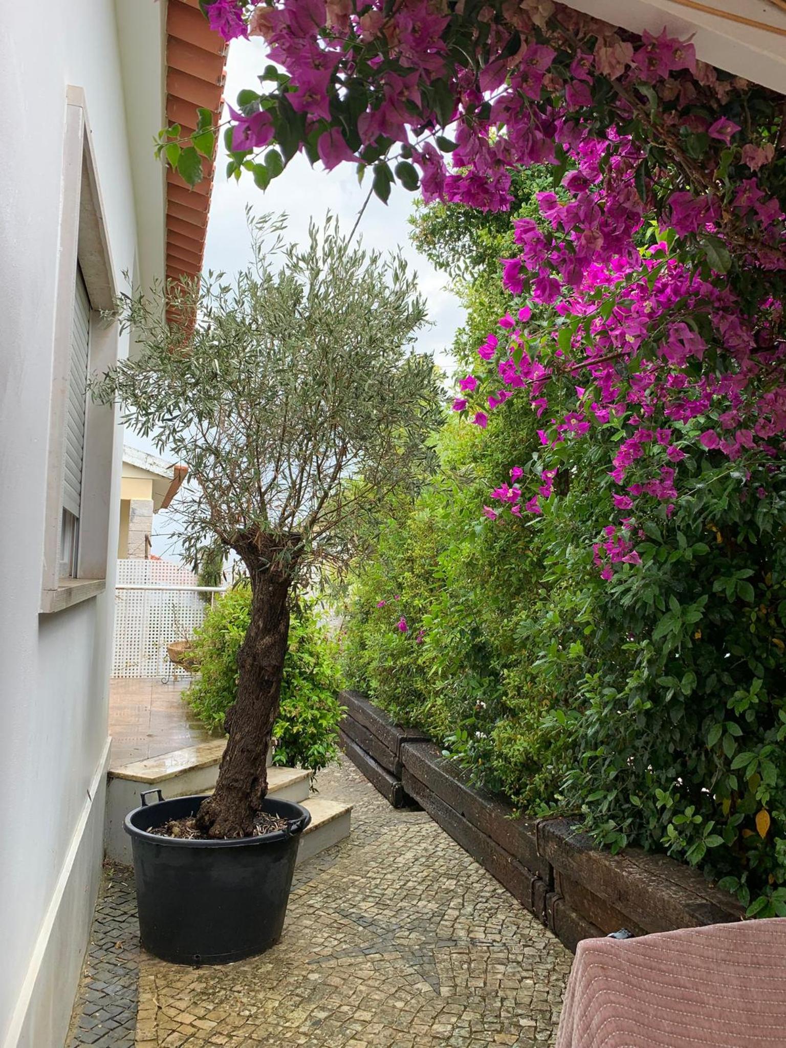 Vila Nogueira De Azeitao - Amaral's Guest Houses