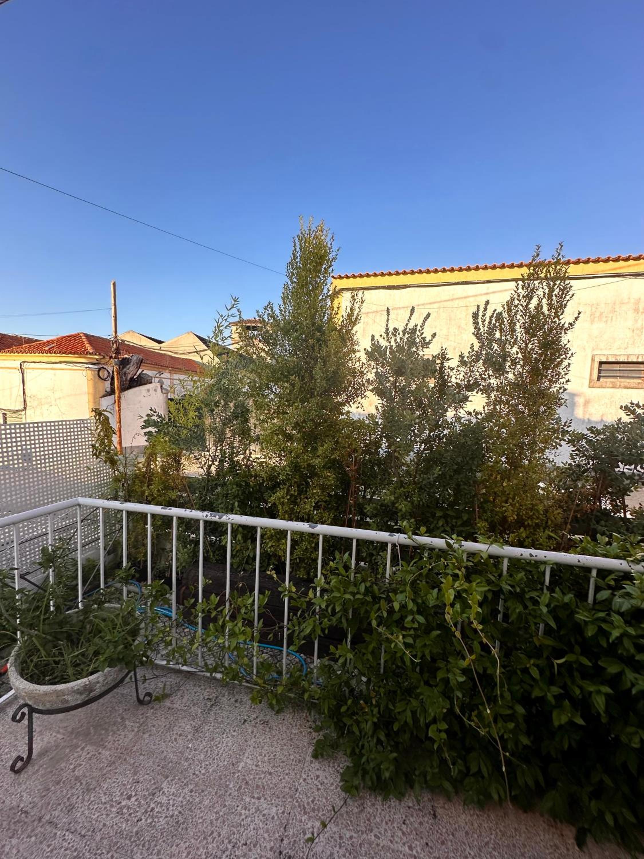Vila Nogueira De Azeitao - Amaral's Guest Houses