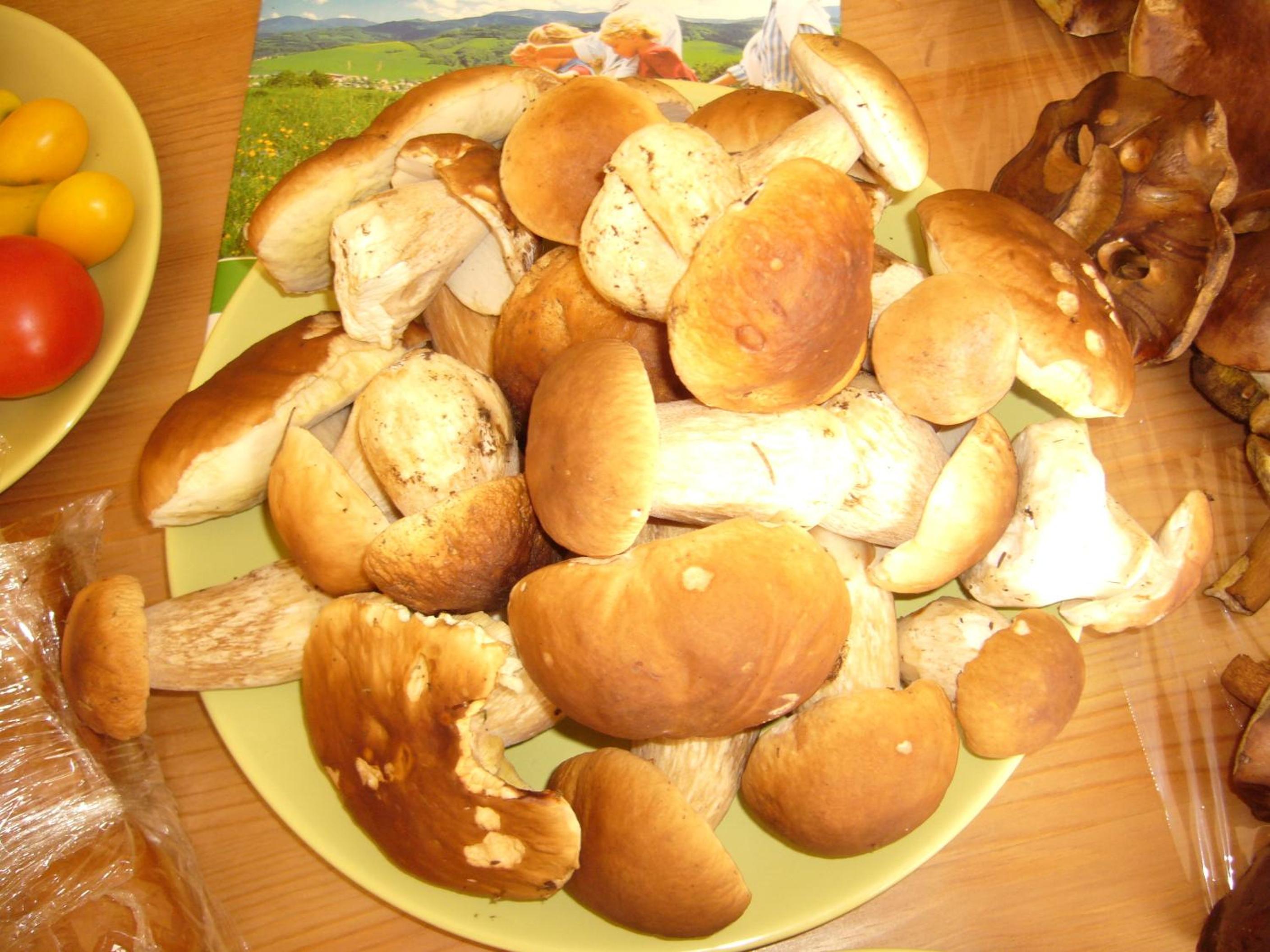 Photo 42