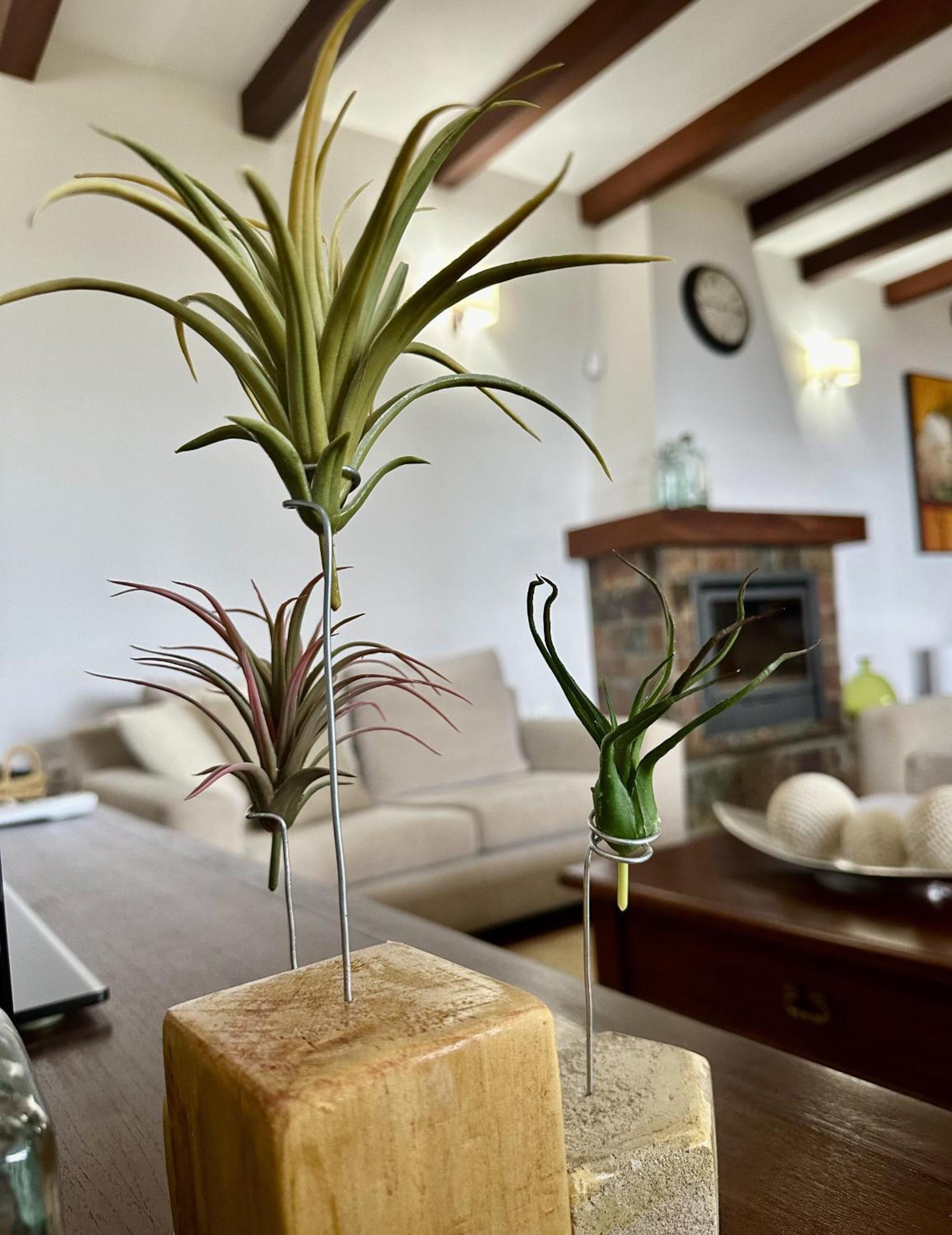 Profithome - La Palma Sunset Villa