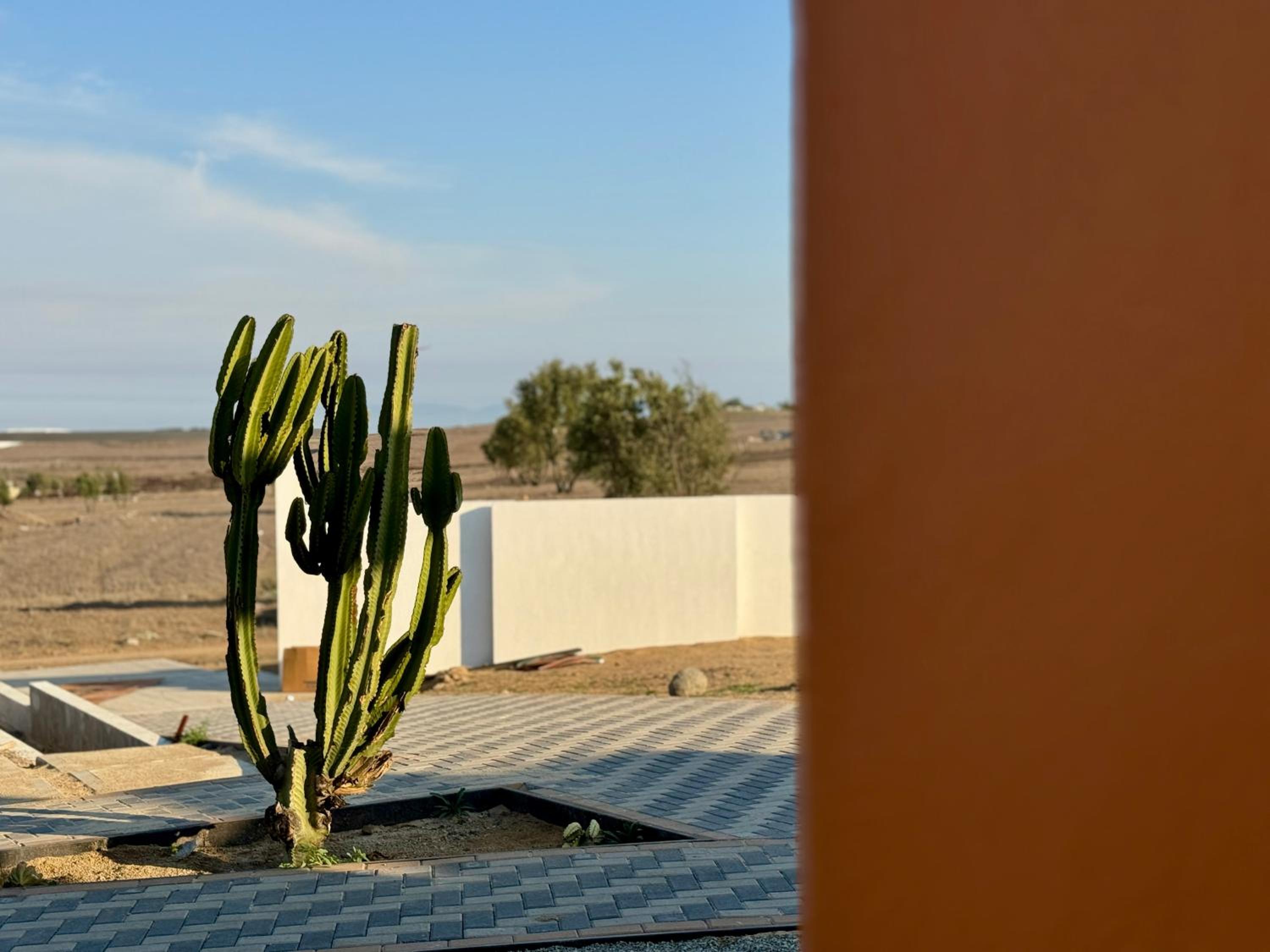 Ariché en Valle de Guadalupe