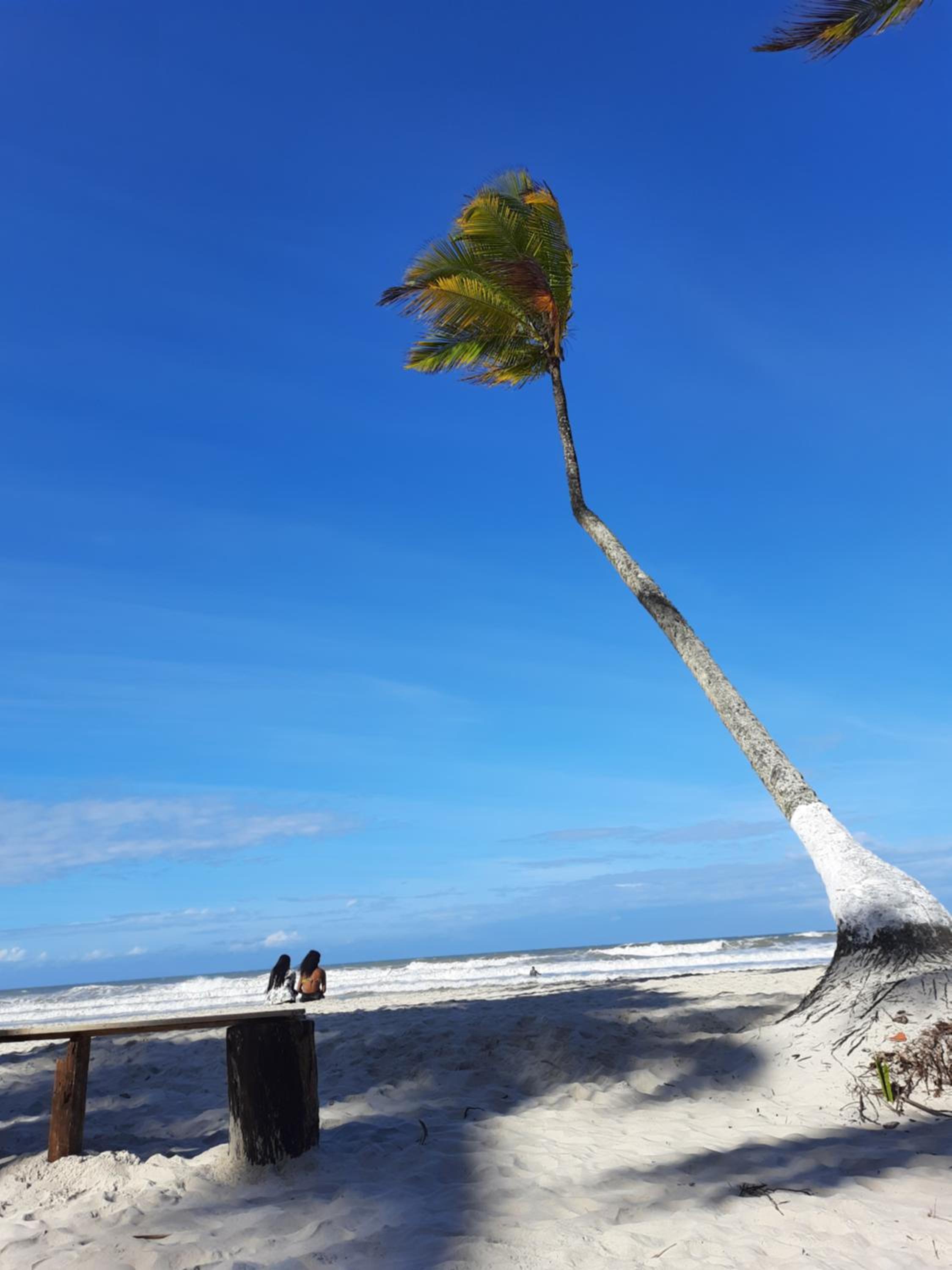 Doce temporada Ilhéus Bahia