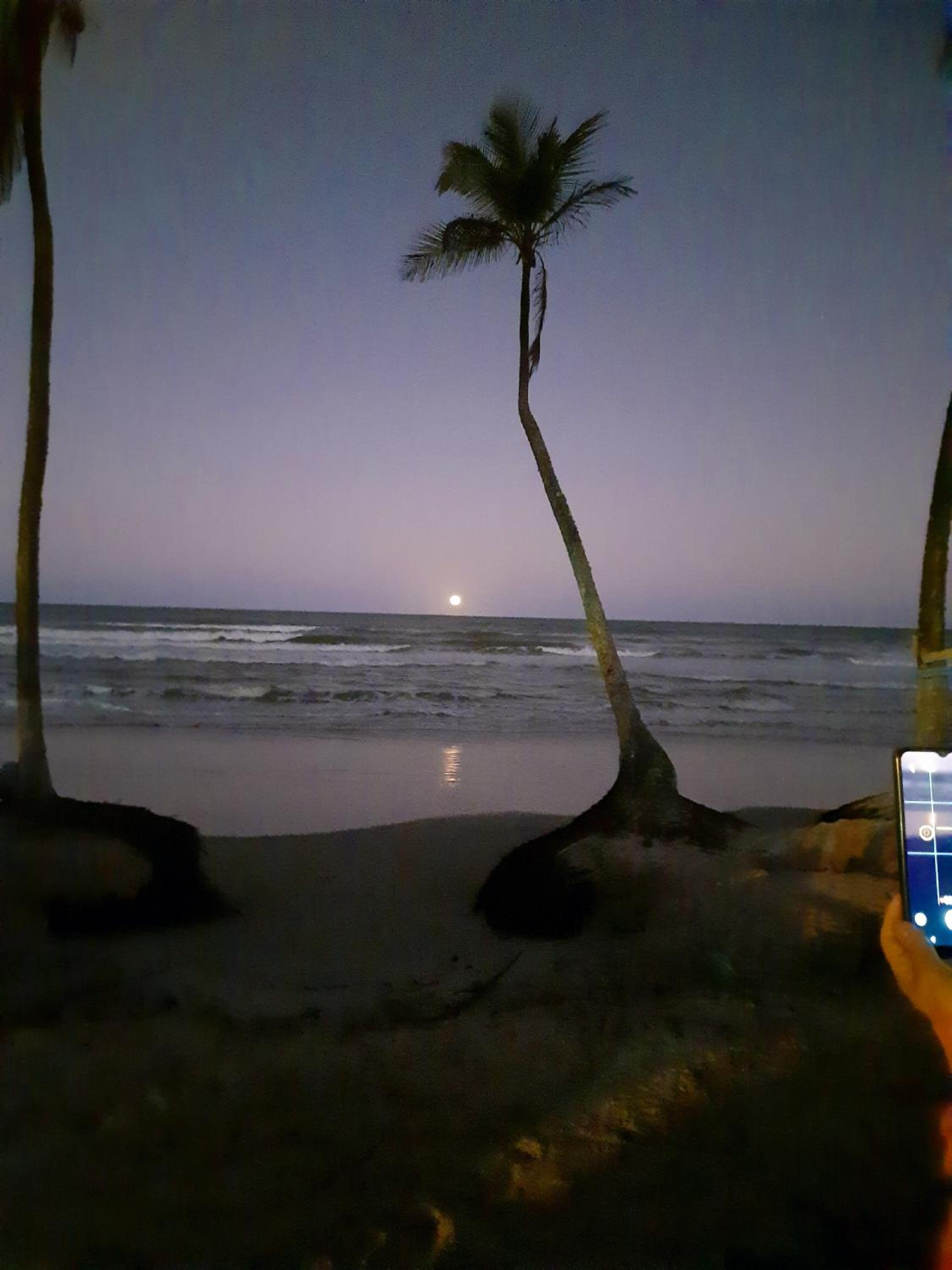 Doce temporada Ilhéus Bahia