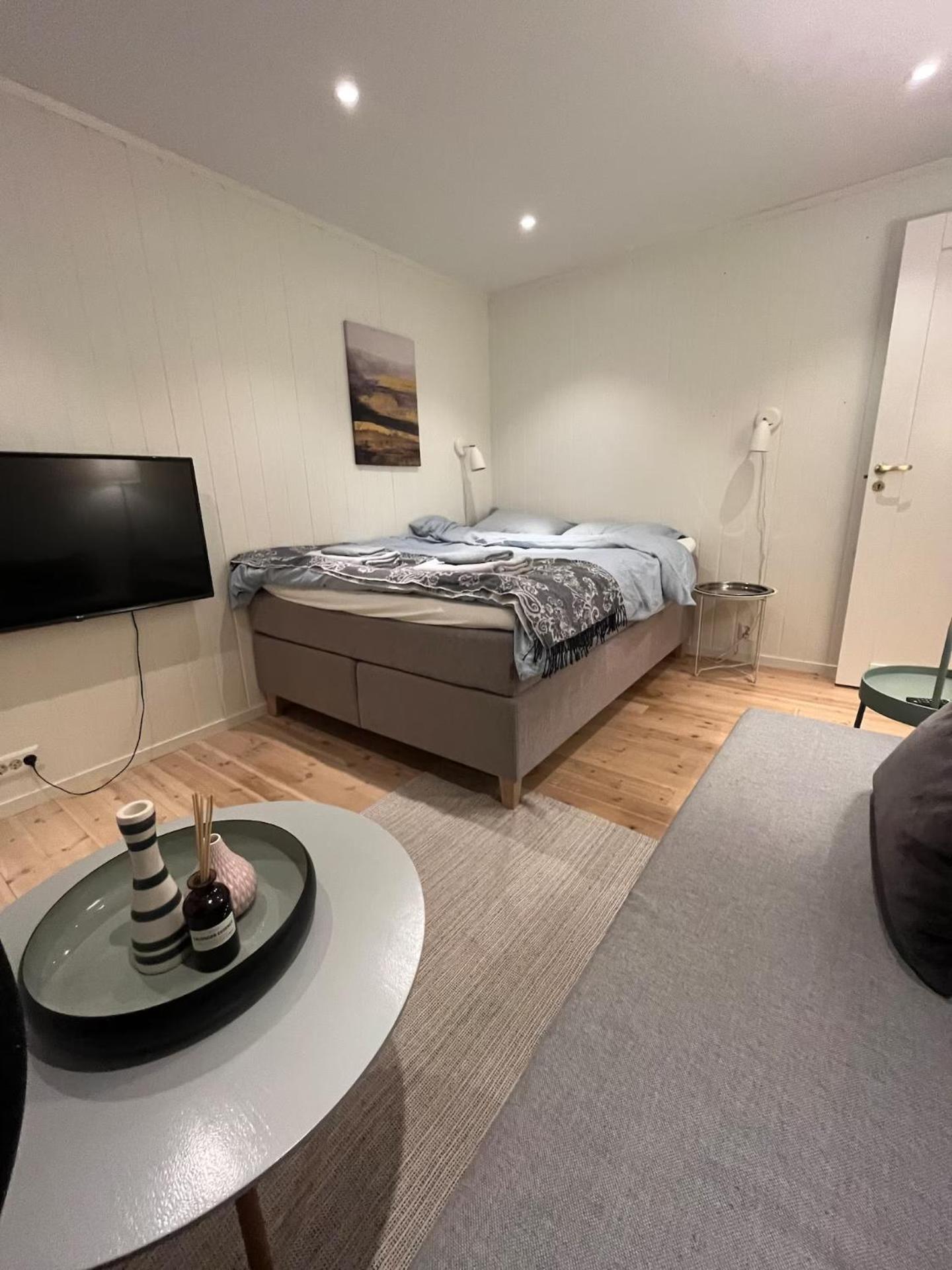 Sentral og koselig 1-rom studioleilighet med stort badeværelse