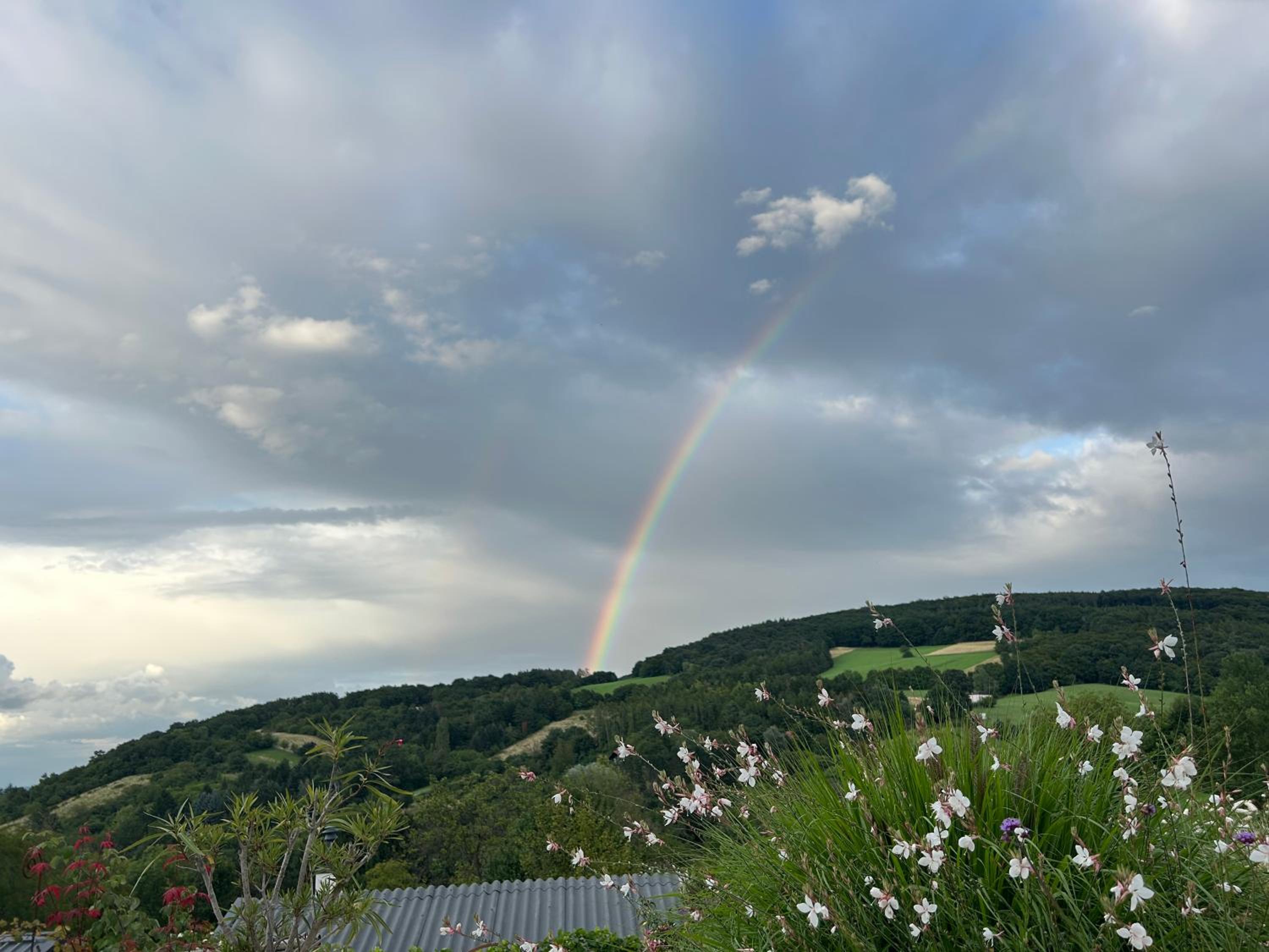 Chalet Wienerwald