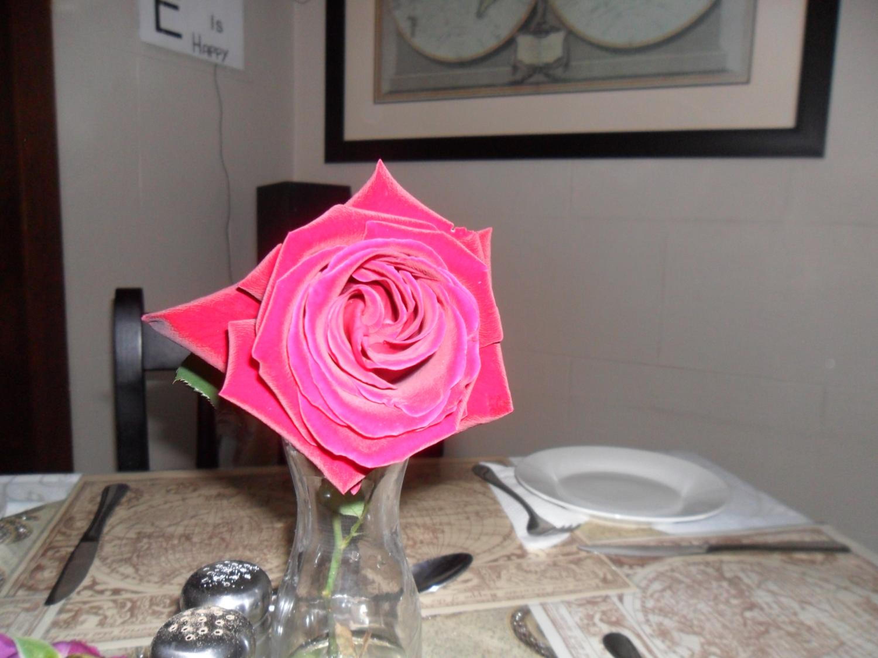 Convent Hill Lodge, photo 32