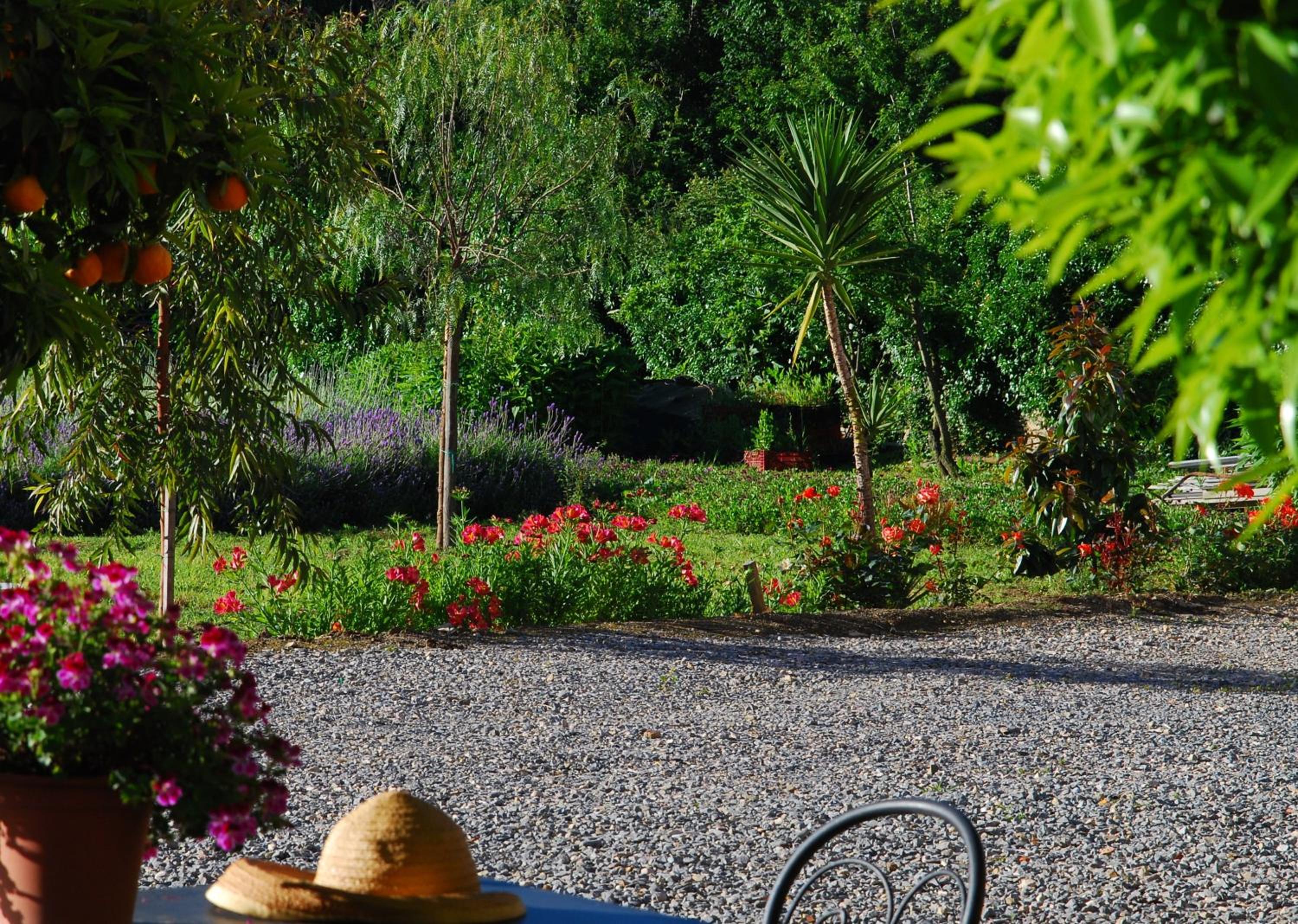 Agriturismo Coppi Rossi view 5
