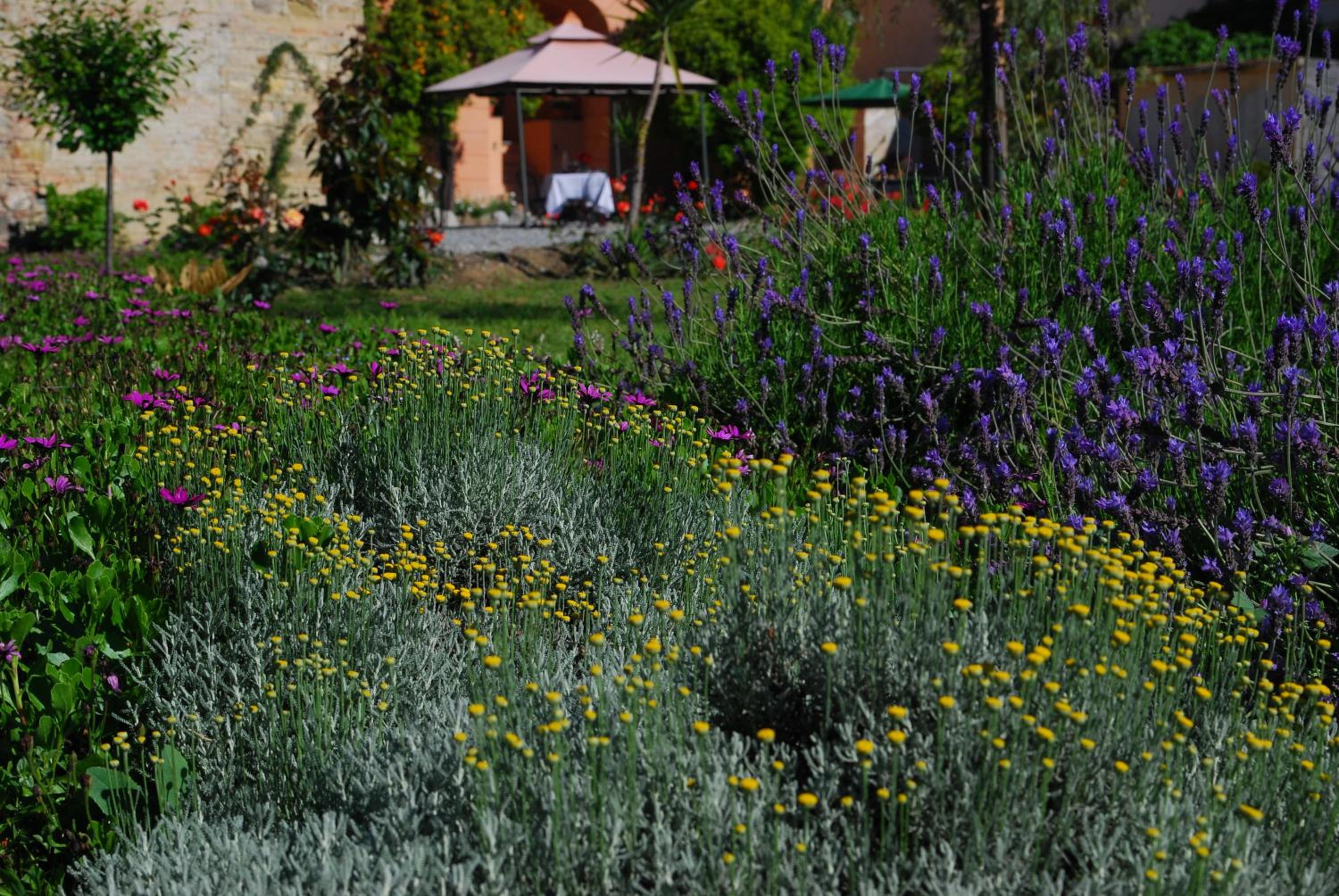 Agriturismo Coppi Rossi view 3