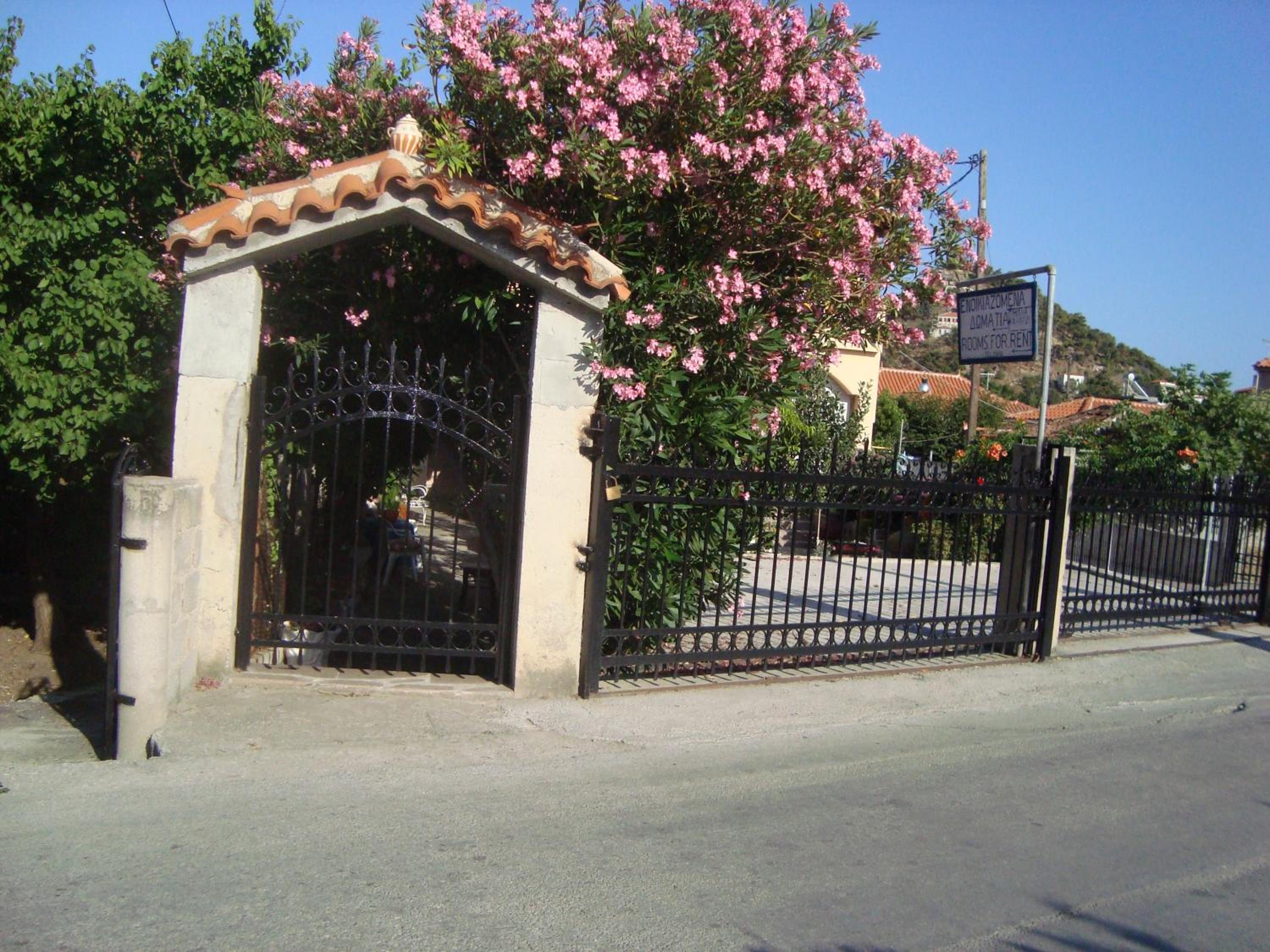 Photo 25