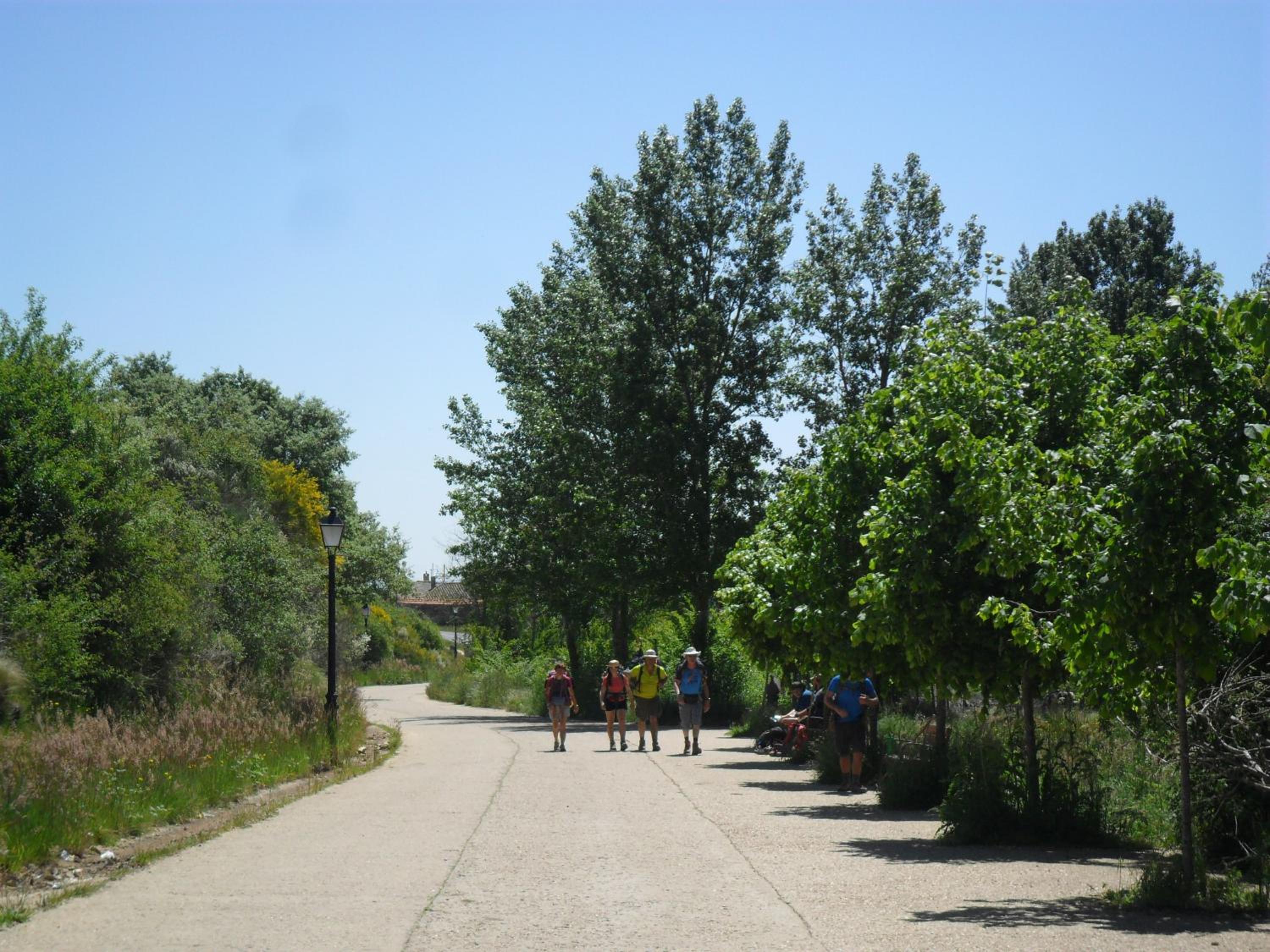 Photo 23