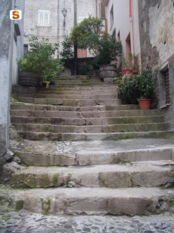 Photo 35